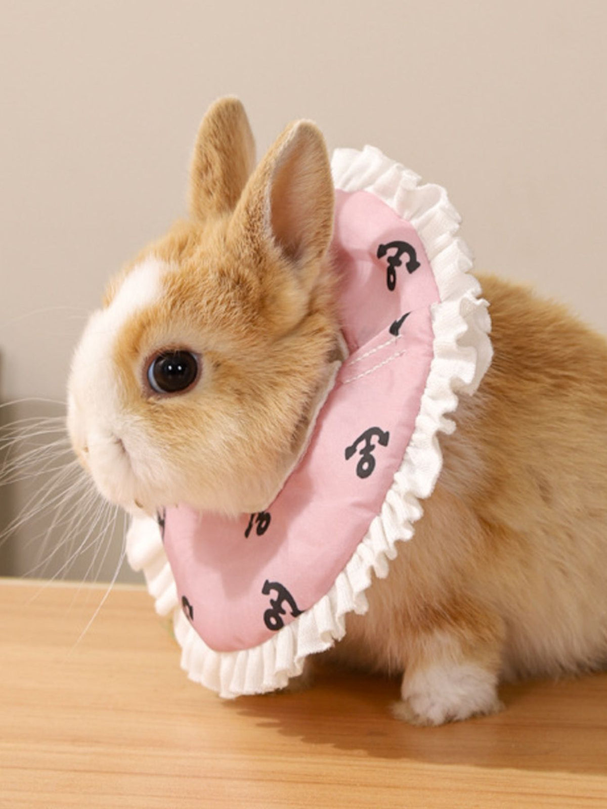 Adjustable Pet Collars - Lilixa.store