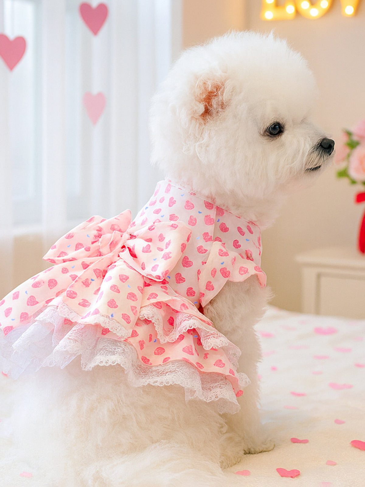 Bow Printed Pet Dress - Lilixa.store