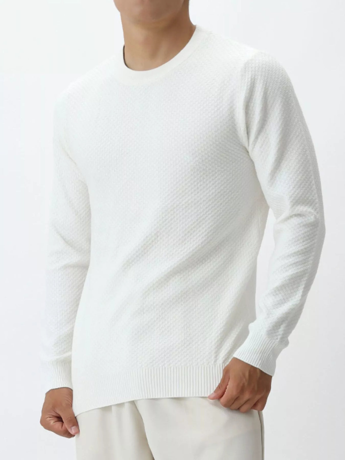 Men's Plus Size Textured Crew Neck Sweater