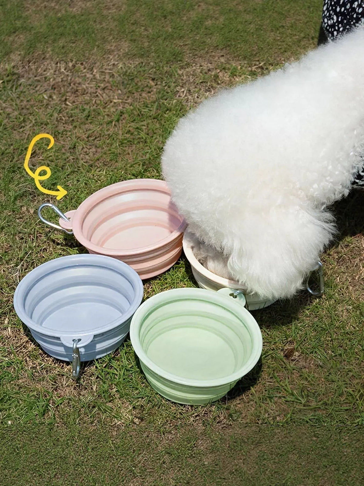 Portable Collapsible Pet Bowls - Lilixa.store