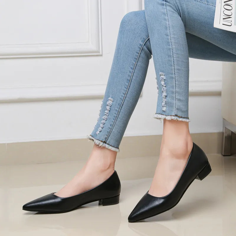 Pointed Toe Low Heel Pump - Lilixa.store