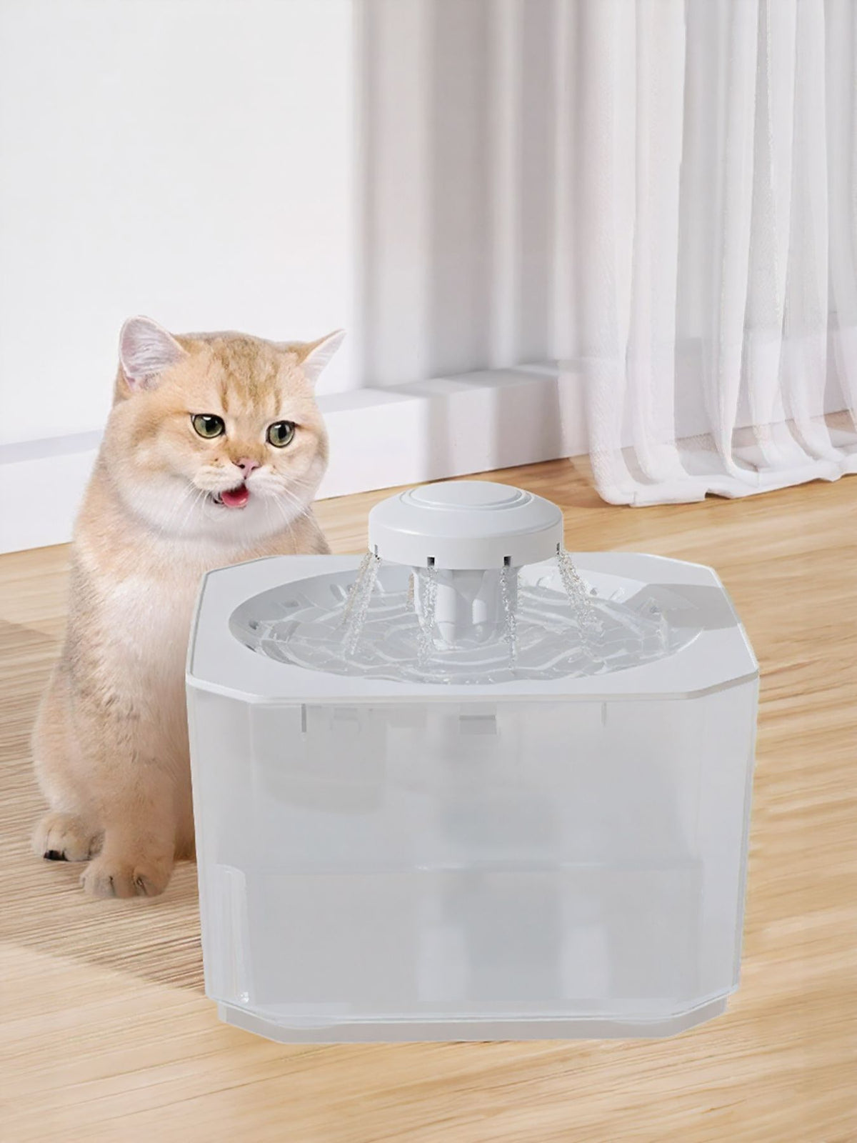 Automatic Pet Water Fountain with Circulation System - Lilixa.store