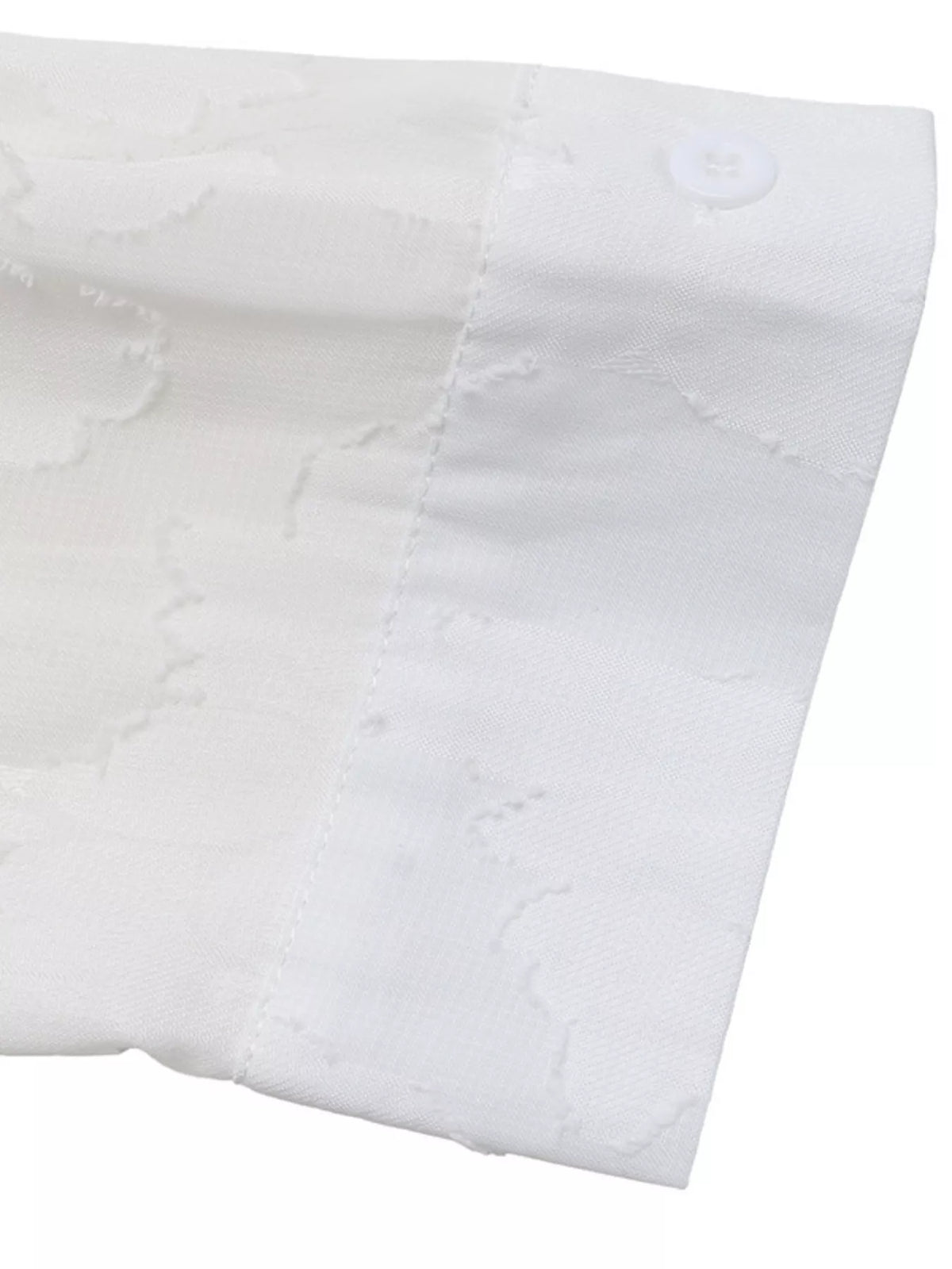 Sheer Button-Down Shirt - Lilixa.store