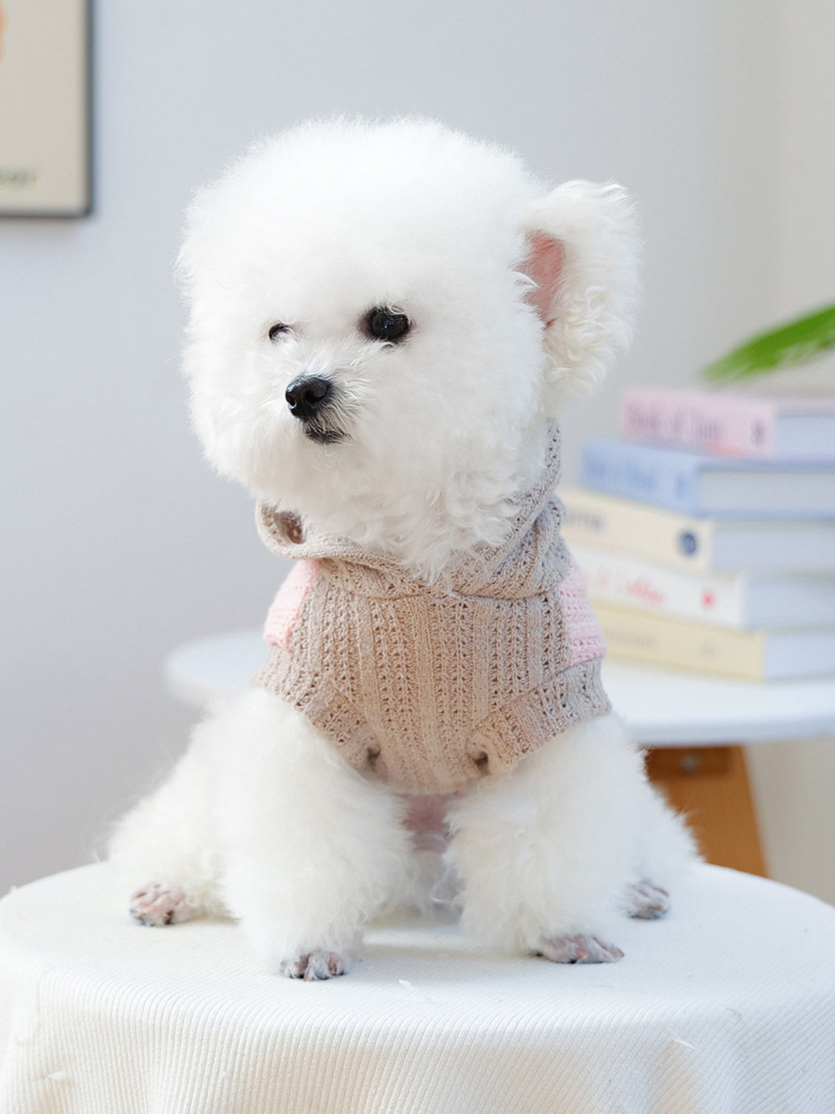 Flower Knitted Pet Hoodie