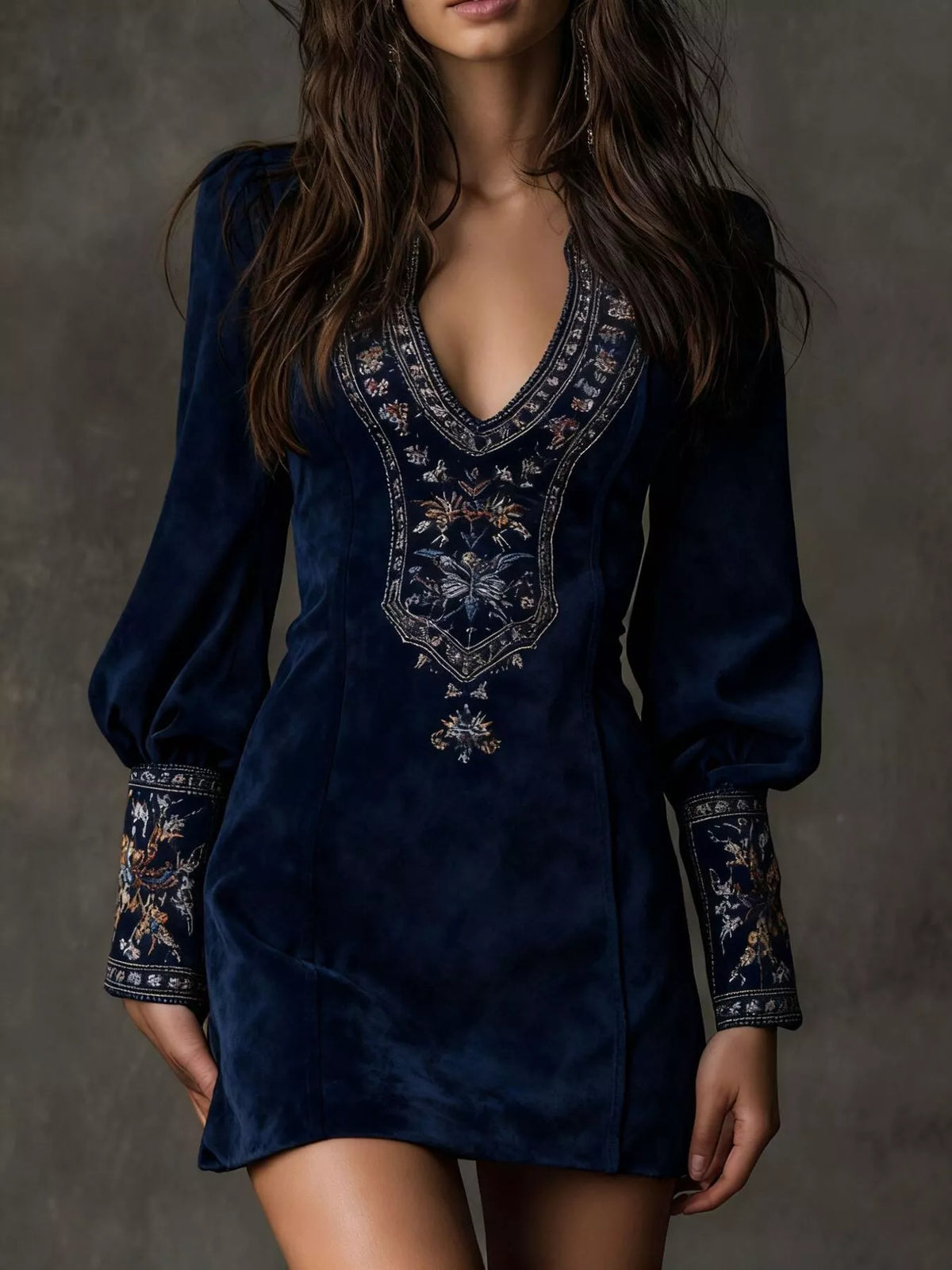 Embroidered Lantern Sleeve Mini Dress