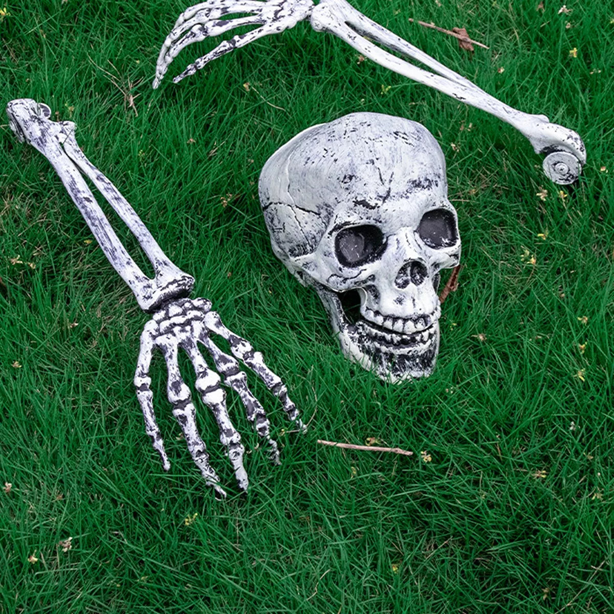 Halloween Skull and Skeleton Arms - Lilixa.store