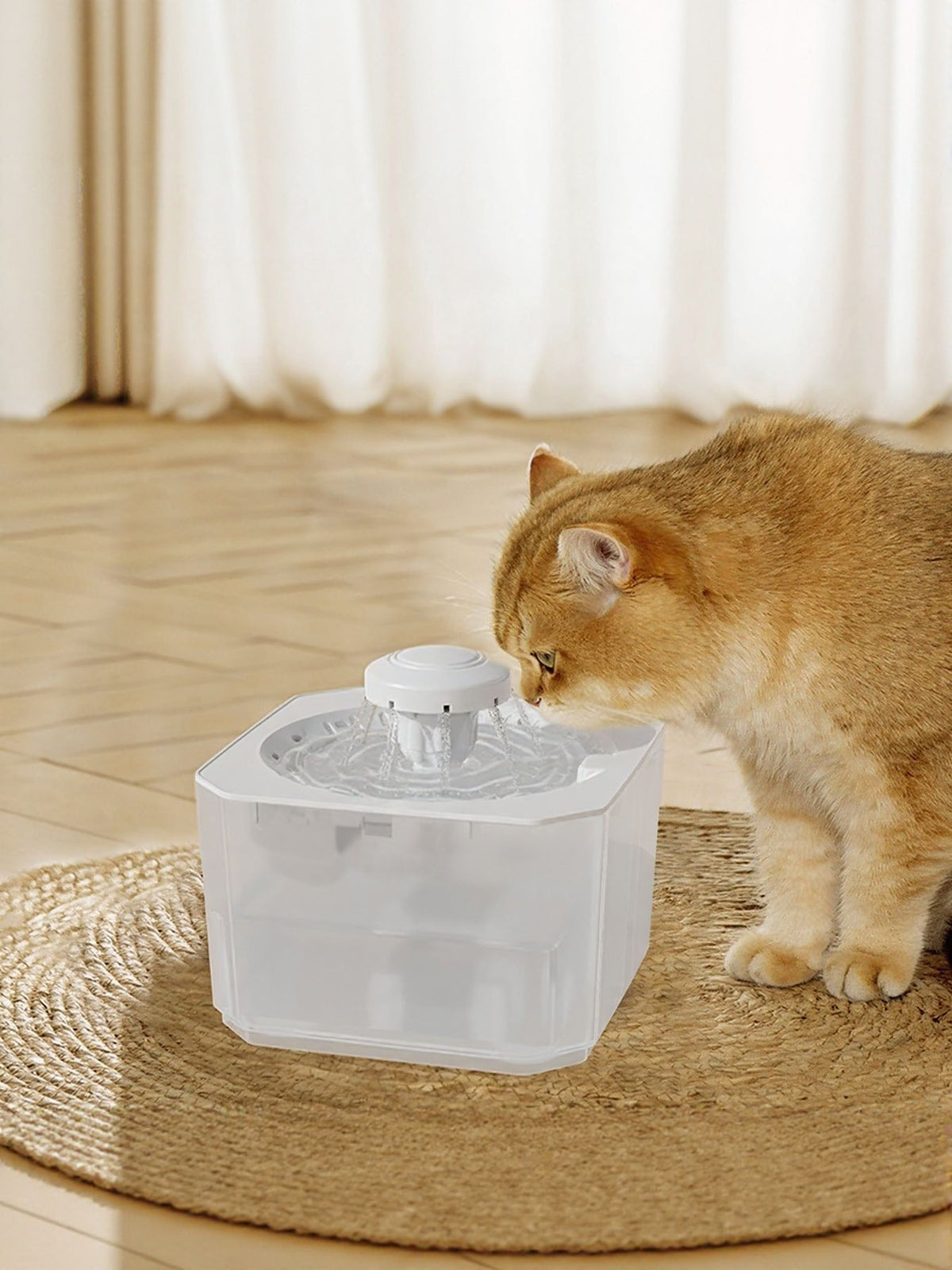 Automatic Pet Water Fountain with Circulation System - Lilixa.store
