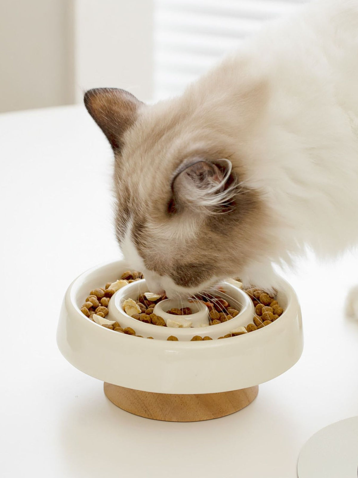 Interactive Slow Feeder Pet Bowl - Lilixa.store