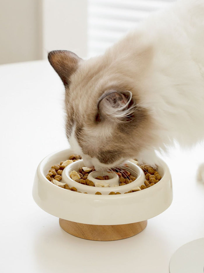 Interactive Slow Feeder Pet Bowl in Ivory
