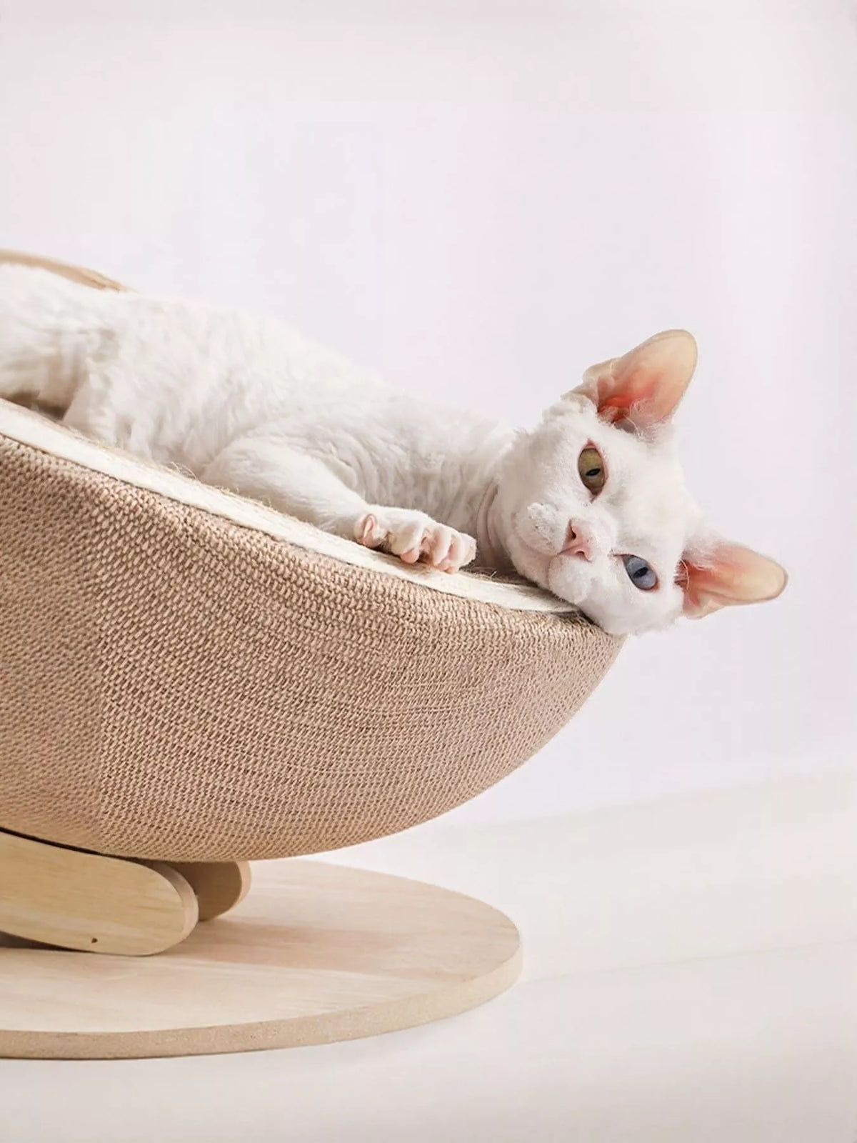 Cat Nest with Hemp Rope Scratcher - Lilixa.store
