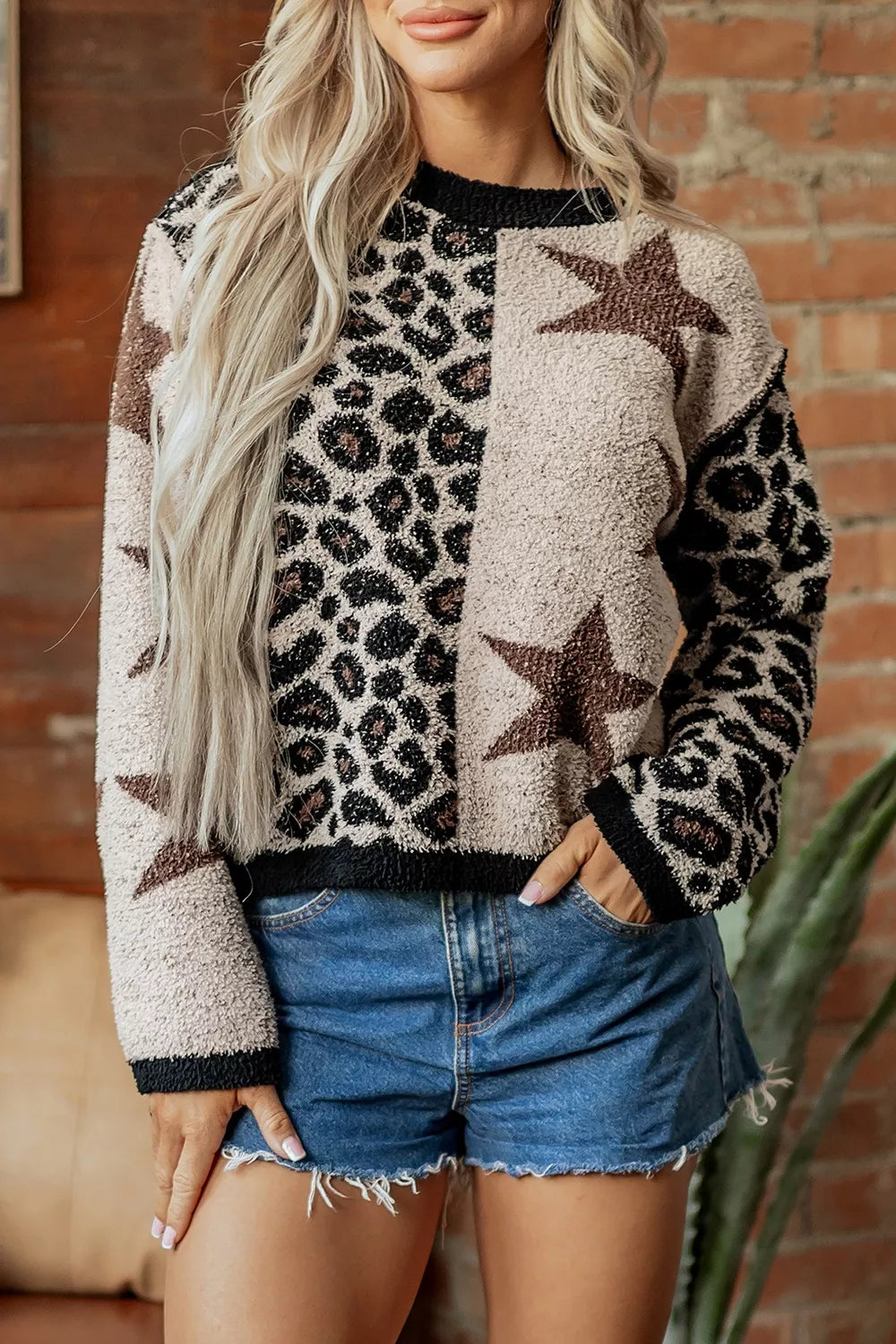 Leopard Star Pattern Round Neck Long Sleeve Shift Sweater - Lilixa.store