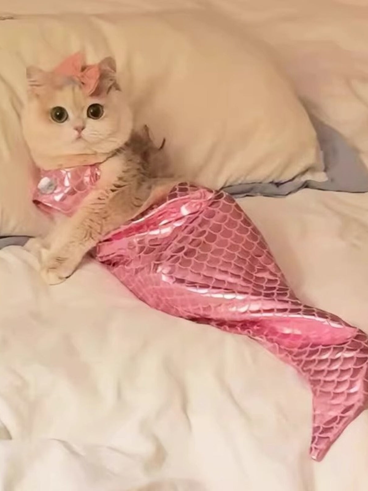 Shiny Mermaid Pet Costume Dress
