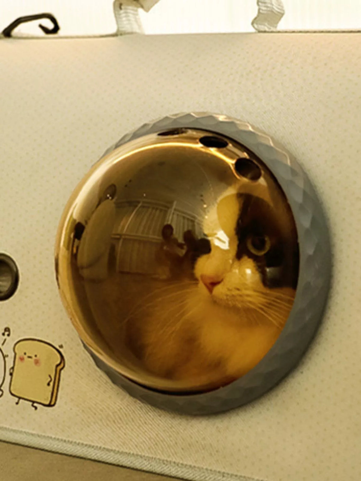 Portable Bubble Window Pet Carrier Bag - Lilixa.store