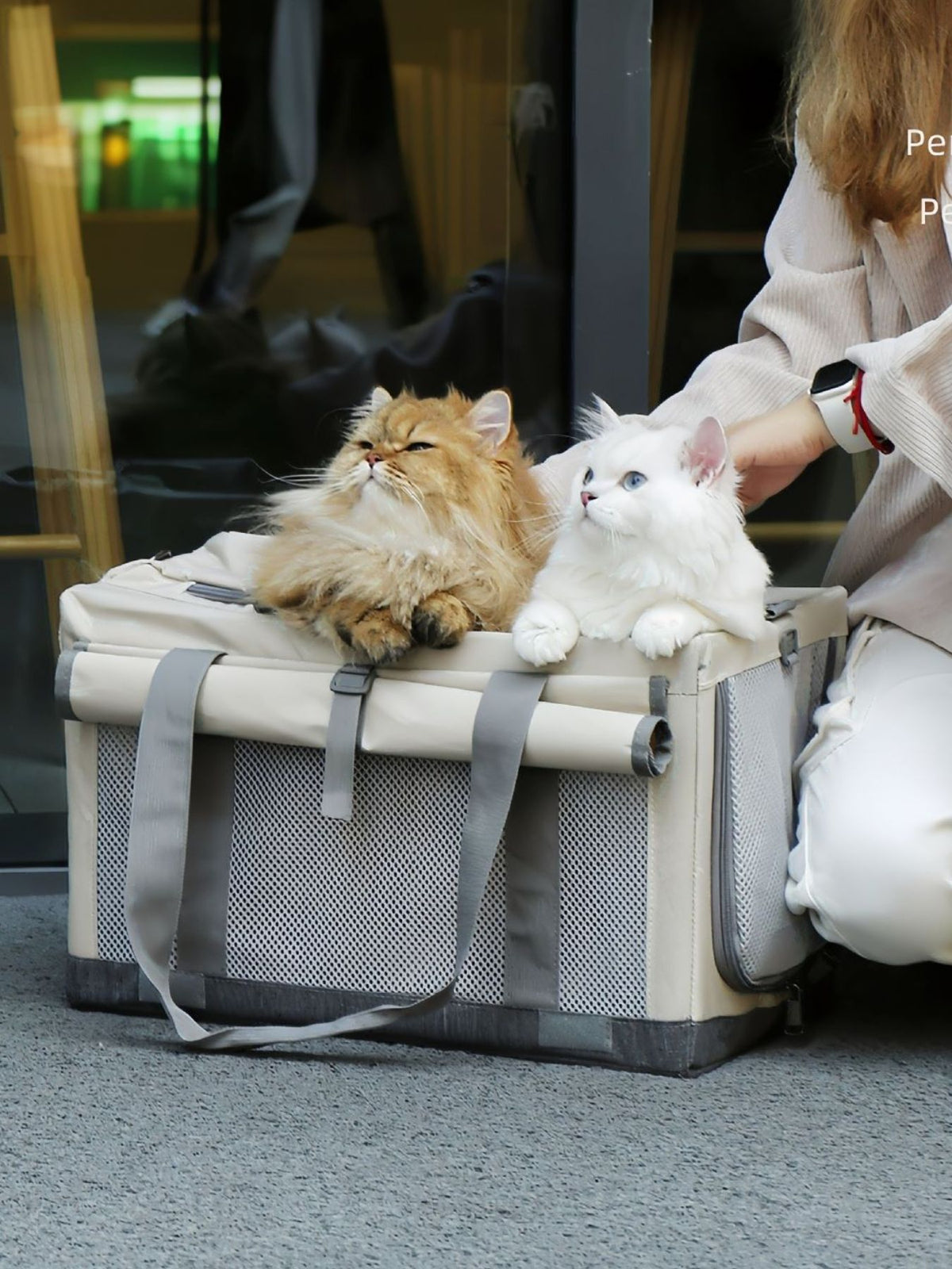 Portable Breathable Pet Carrier Bag - Lilixa.store