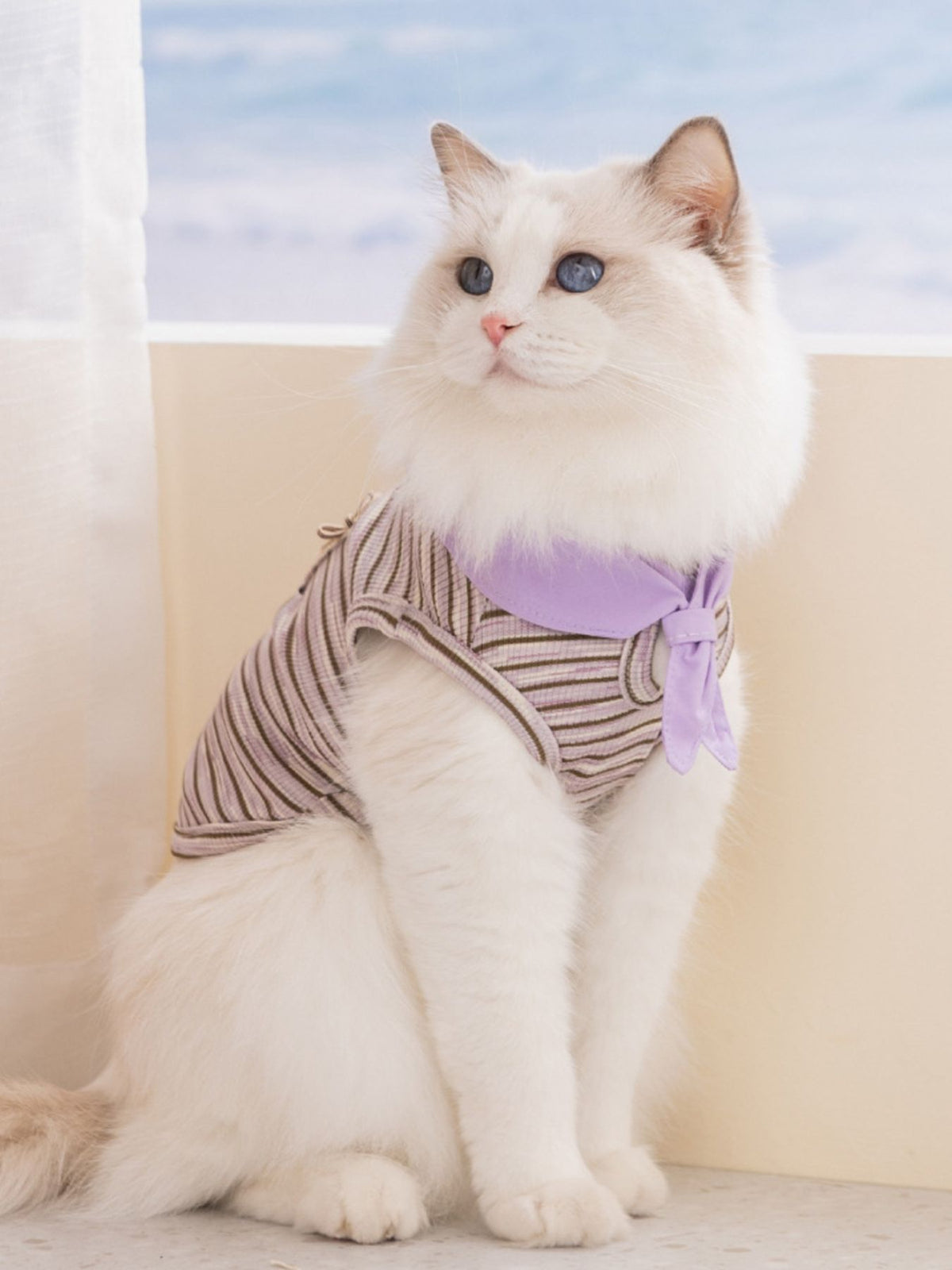 Striped Tied Pet Top - Lilixa.store