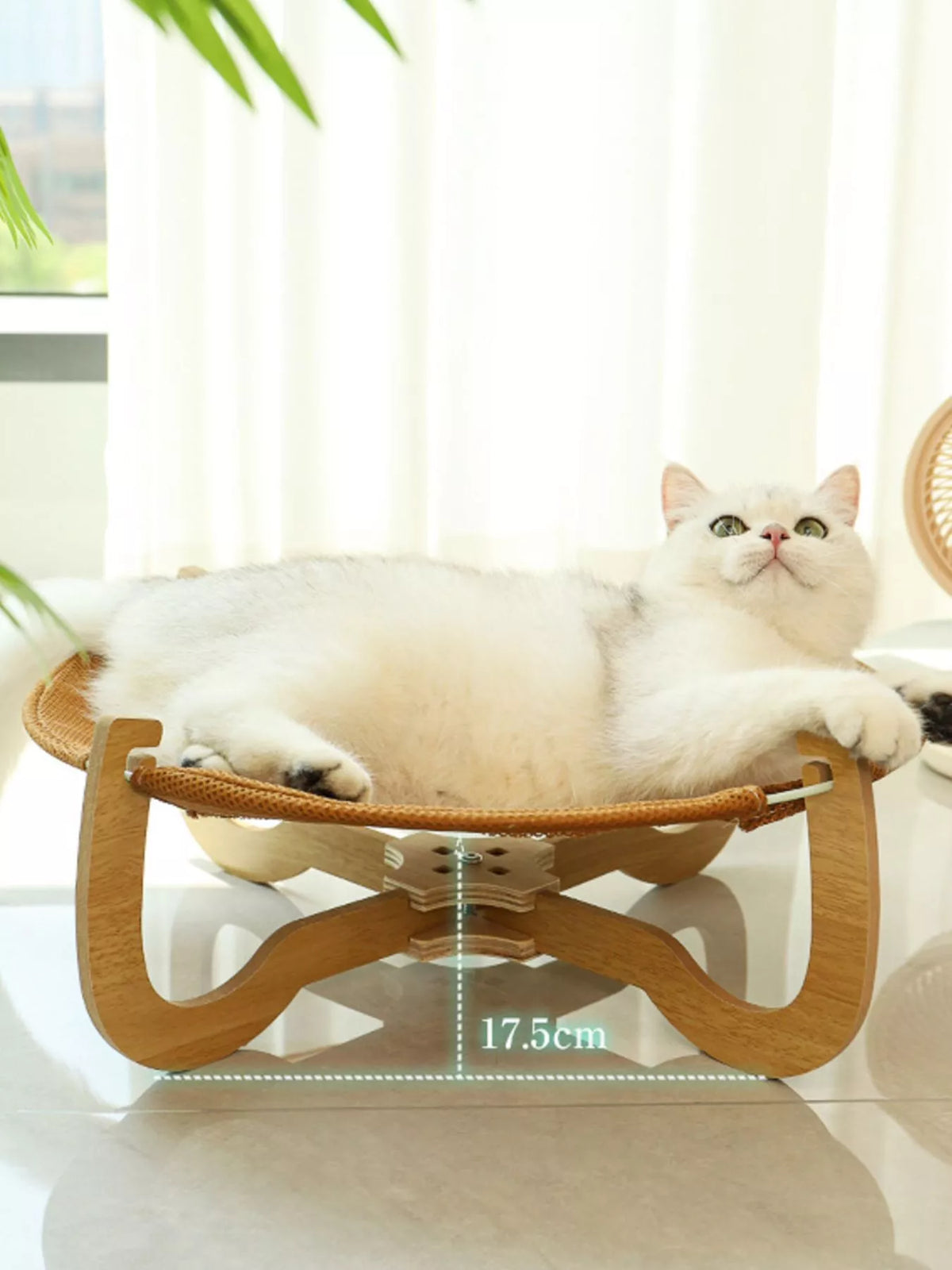 Round Woven Elevated Pet Bed - Lilixa.store