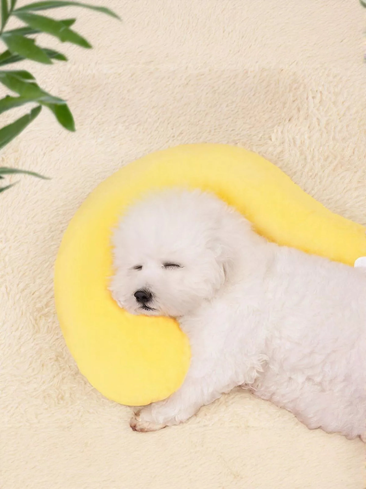 Question Mark Shaped Plush Pet Bed - Lilixa.store