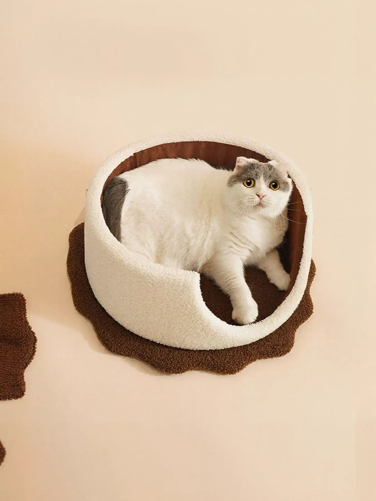 Biscuit Style Pet Nest - Lilixa.store