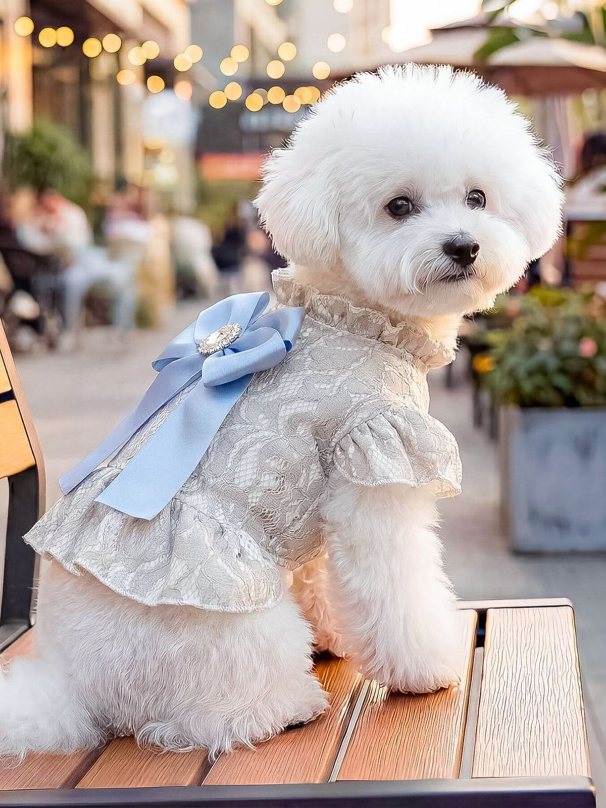 Ruffled Pet Dress with Bow - Lilixa.store