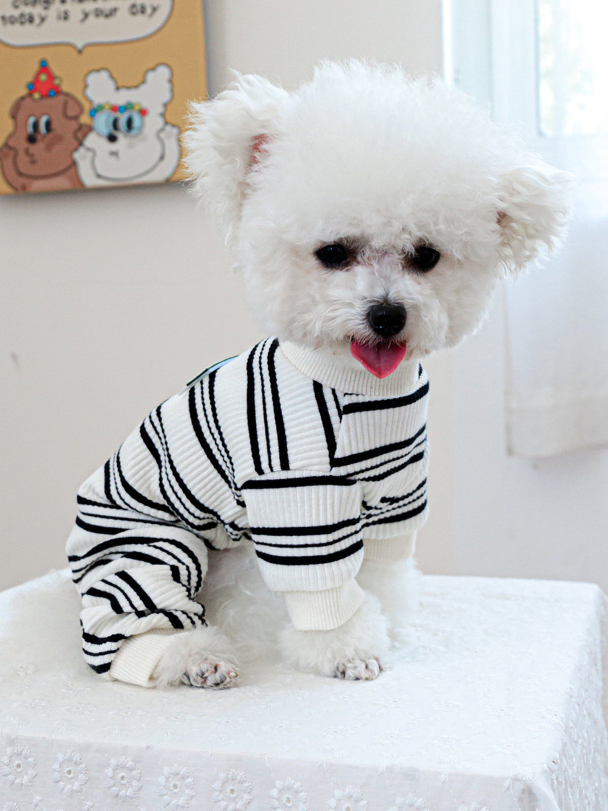 Breathable Knitted Pet Jumpsuits - Lilixa.store