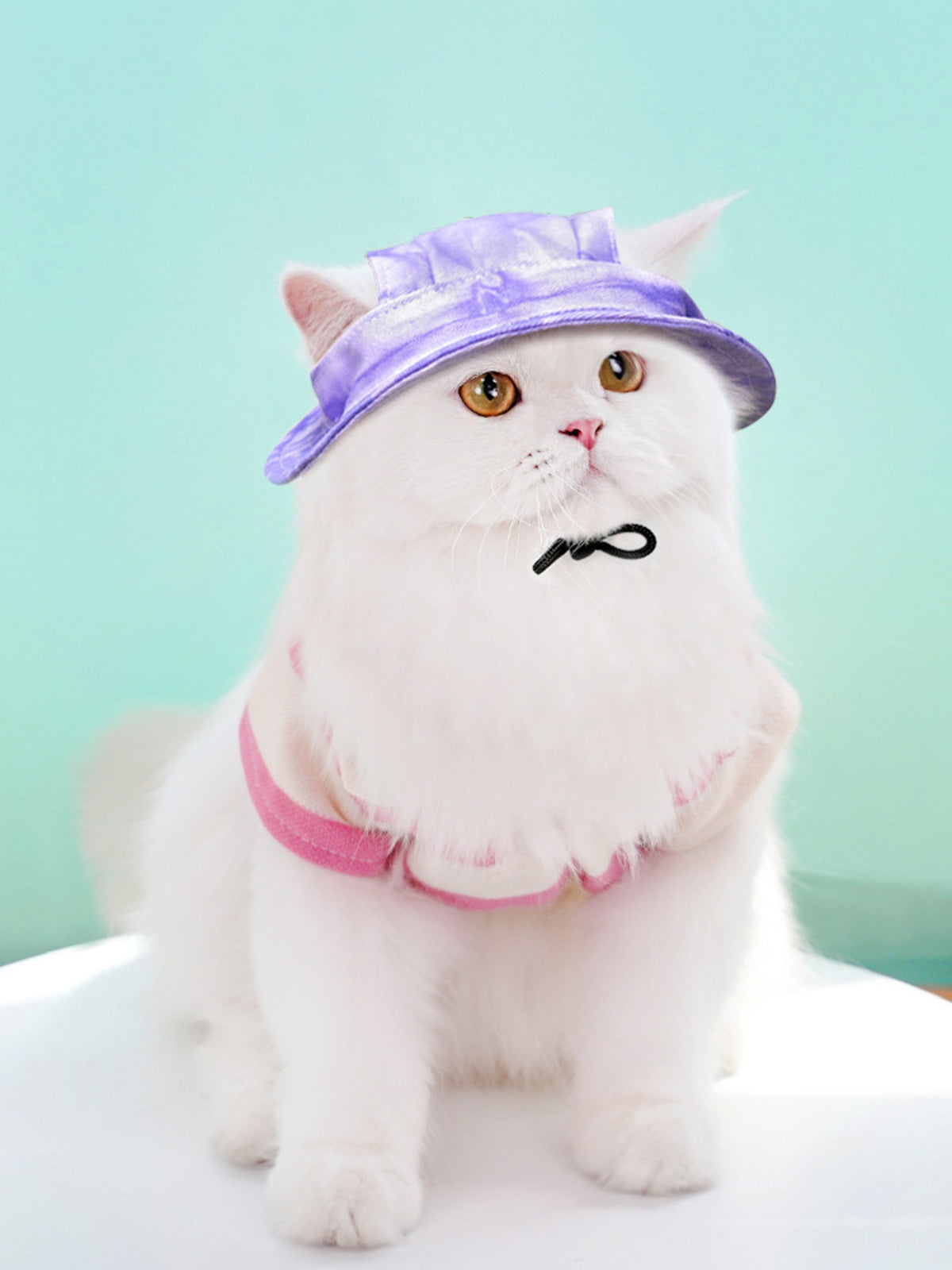 Adjustable Pet Visor Hat - Lilixa.store