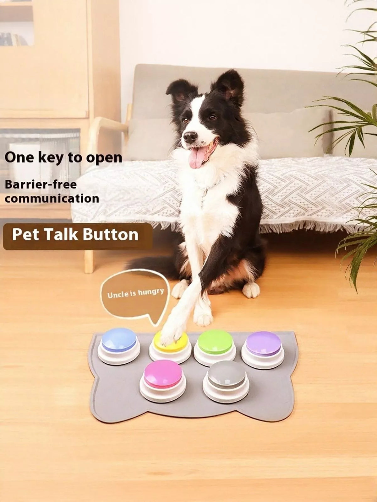 Recordable Talking Pet Sound Buttons - Lilixa.store