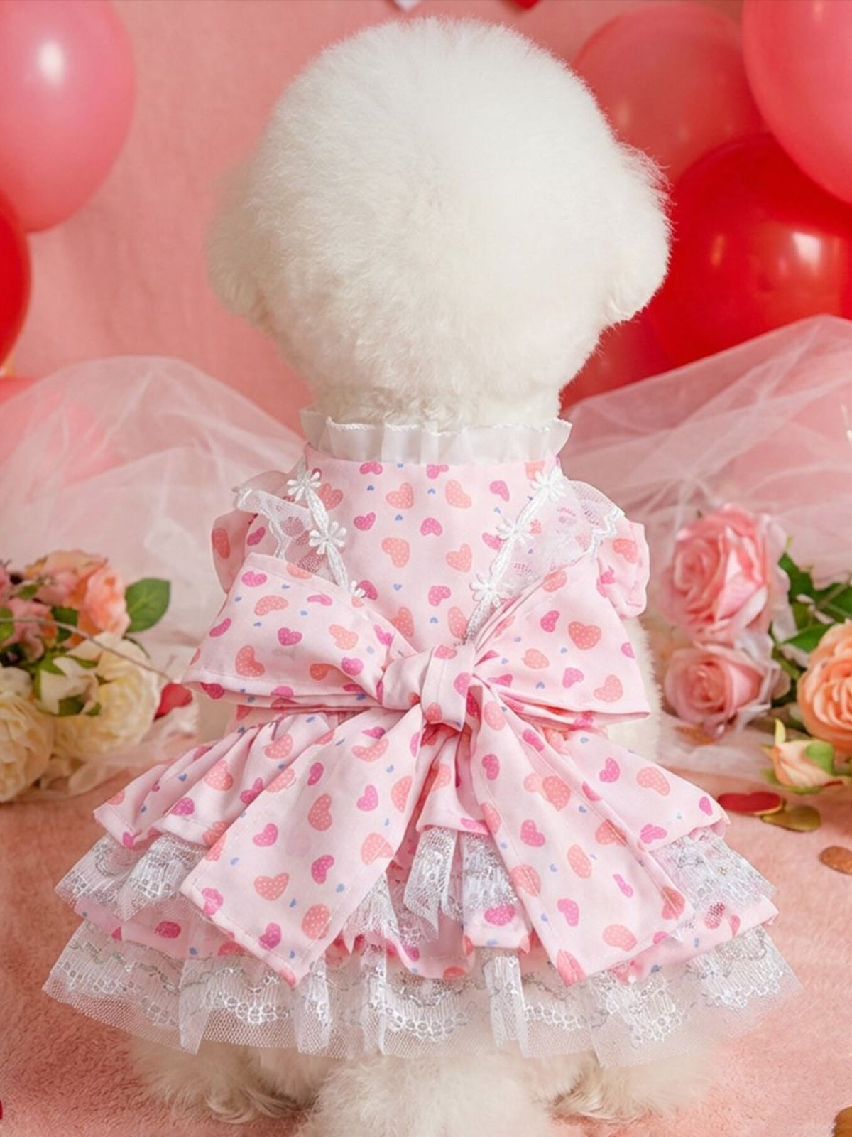 Bow Printed Pet Dress - Lilixa.store