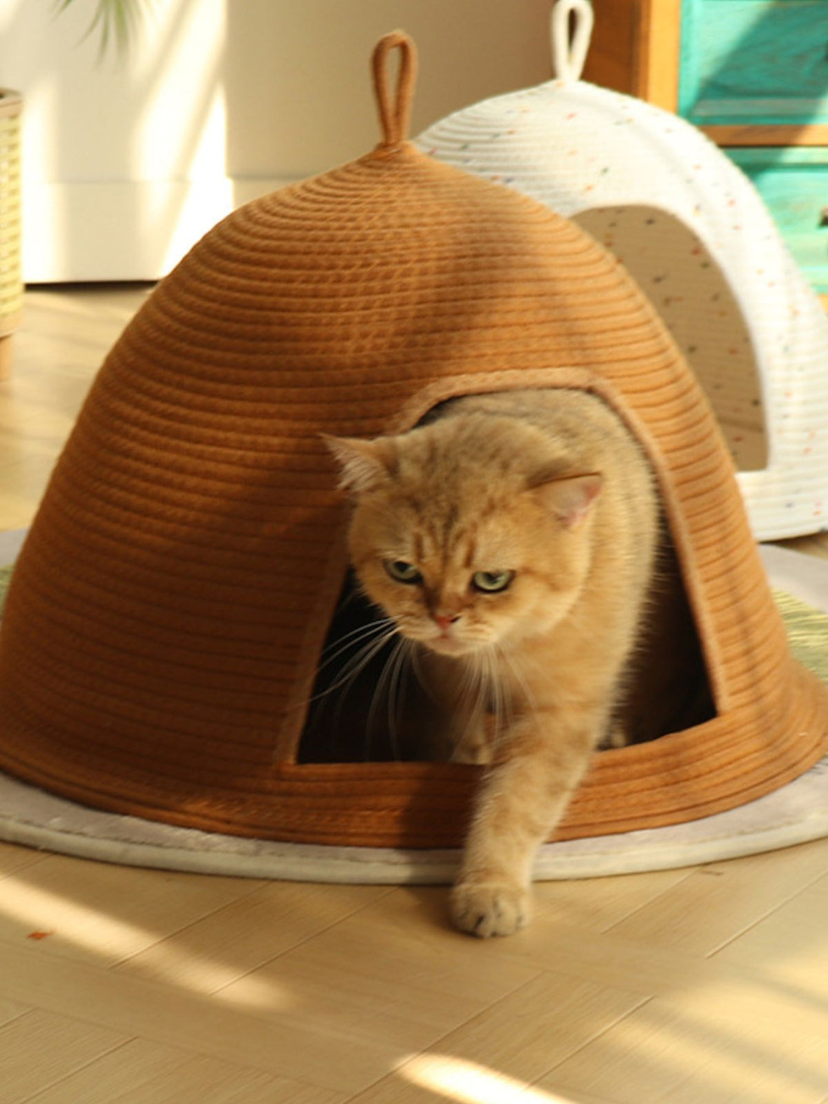 Cozy Rope Woven Cat Cave Bed with Handle - Lilixa.store