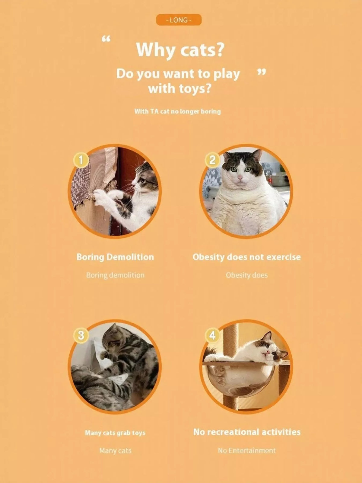 Interactive Self-Rotating Pet Teaser Toy - Lilixa.store