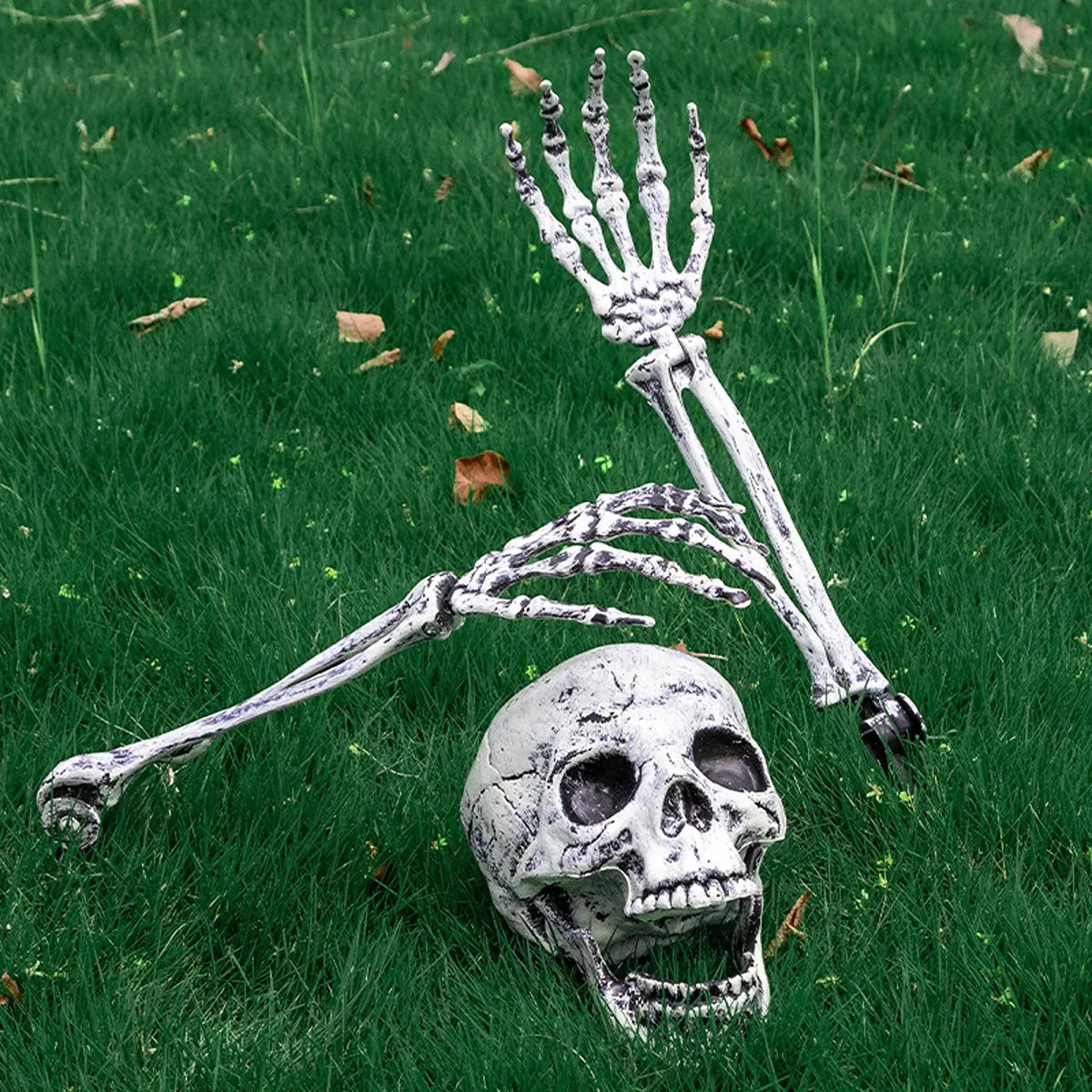 Halloween Skull and Skeleton Arms - Lilixa.store