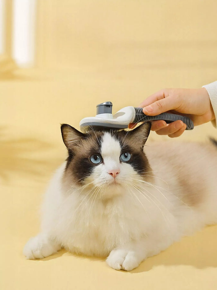 Self-Cleaning Slicker Pet Hair Remover Brush - Lilixa.store