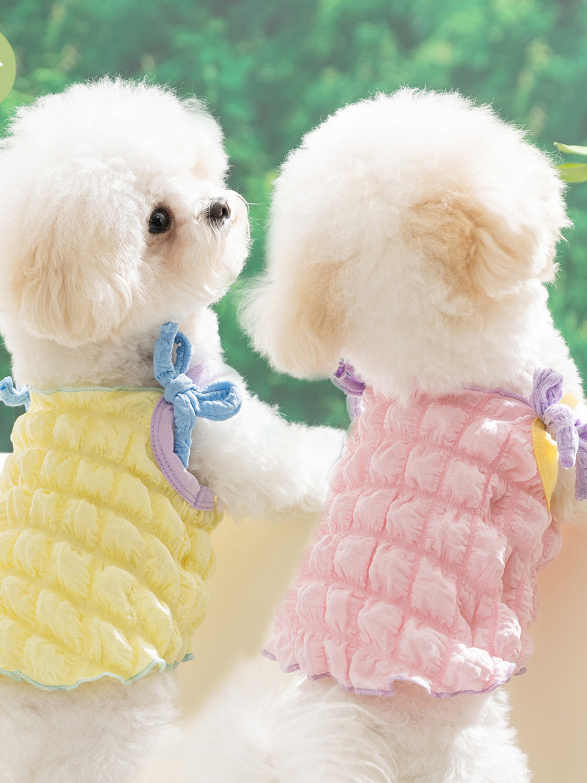 Bubble Textured Tie Shoulder Pet Top - Lilixa.store