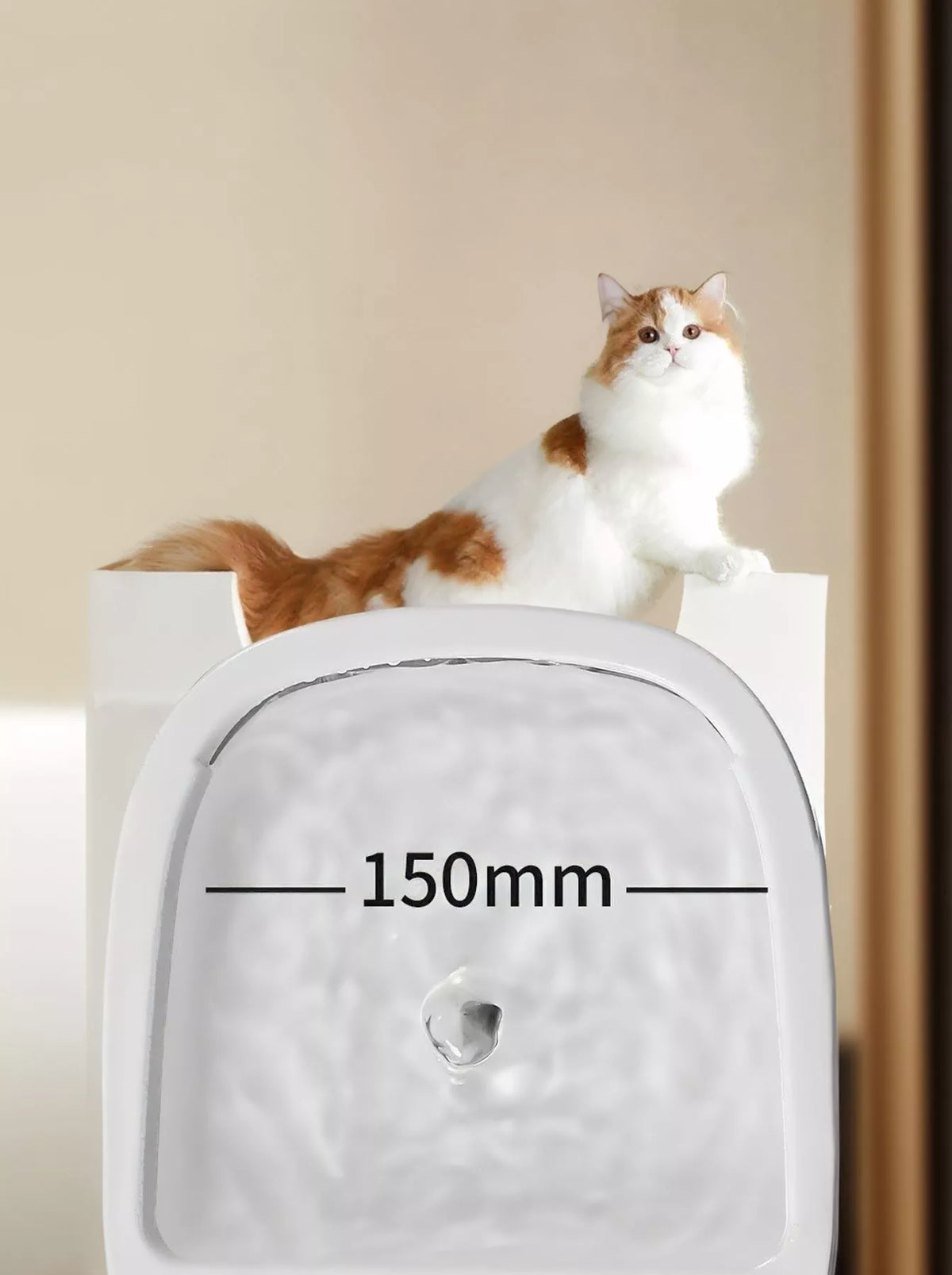 2-in-1 Automatic Water Dispenser & Food Bowl Pet Bowl