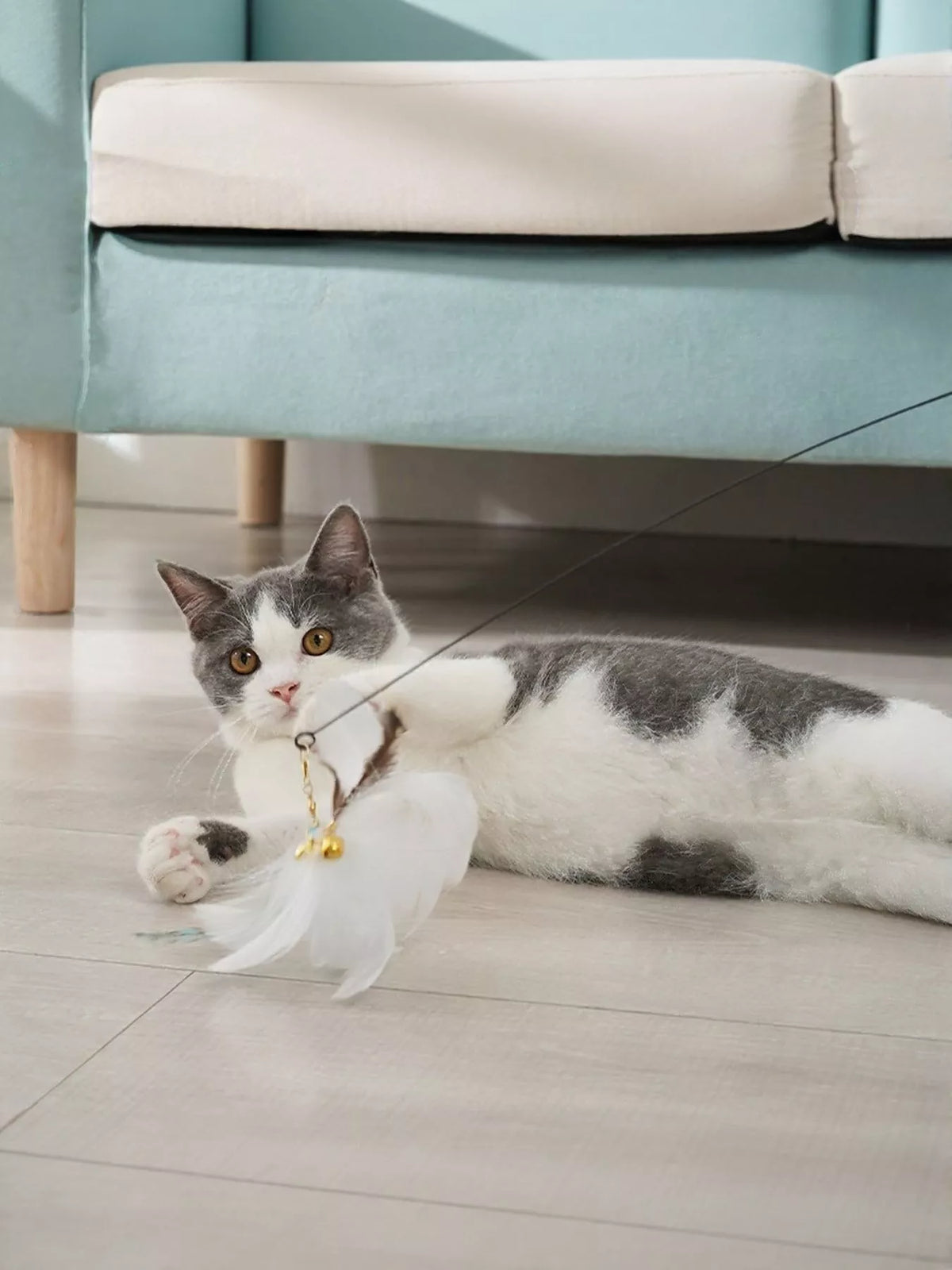 Interactive Feather Teaser Cat Wand Toy - Lilixa.store