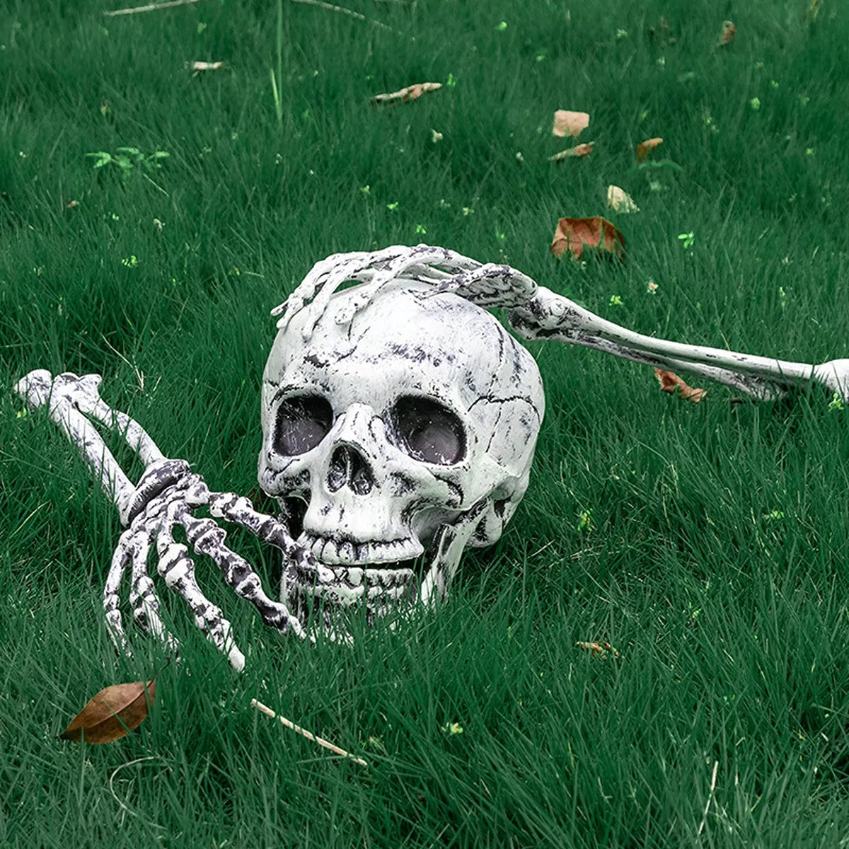 Halloween Skull and Skeleton Arms - Lilixa.store