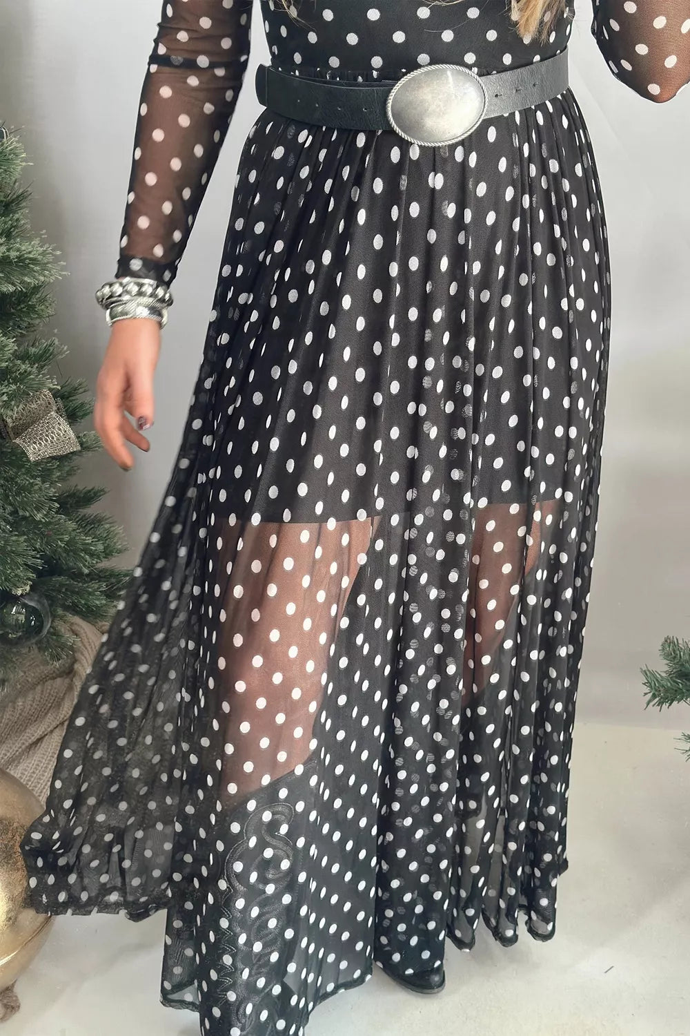 Polka Dot Sheer Mesh Long Sleeve Maxi Dress