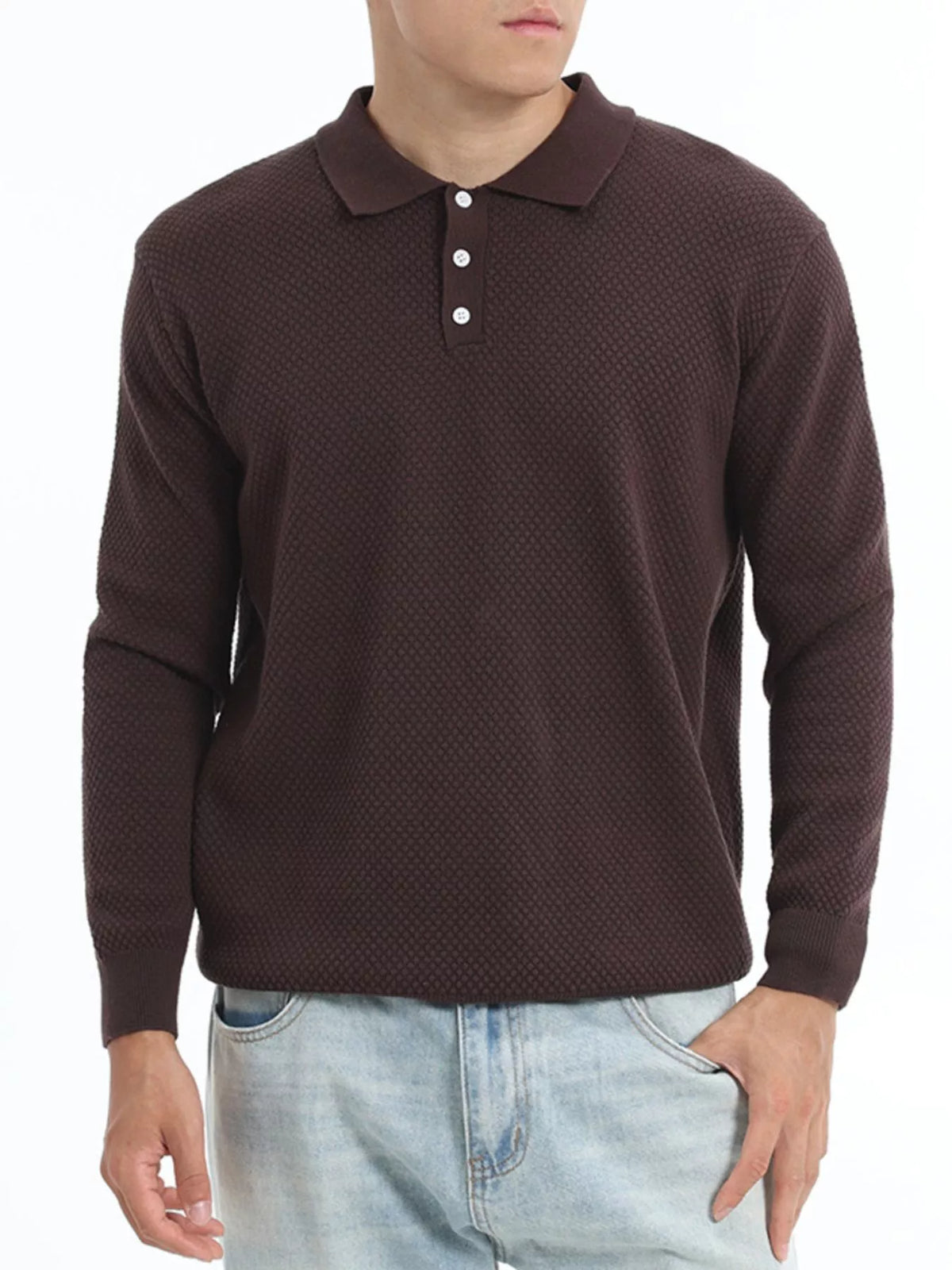 Men's Plus Size Textured Knit Polo Collar Sweater in Brown