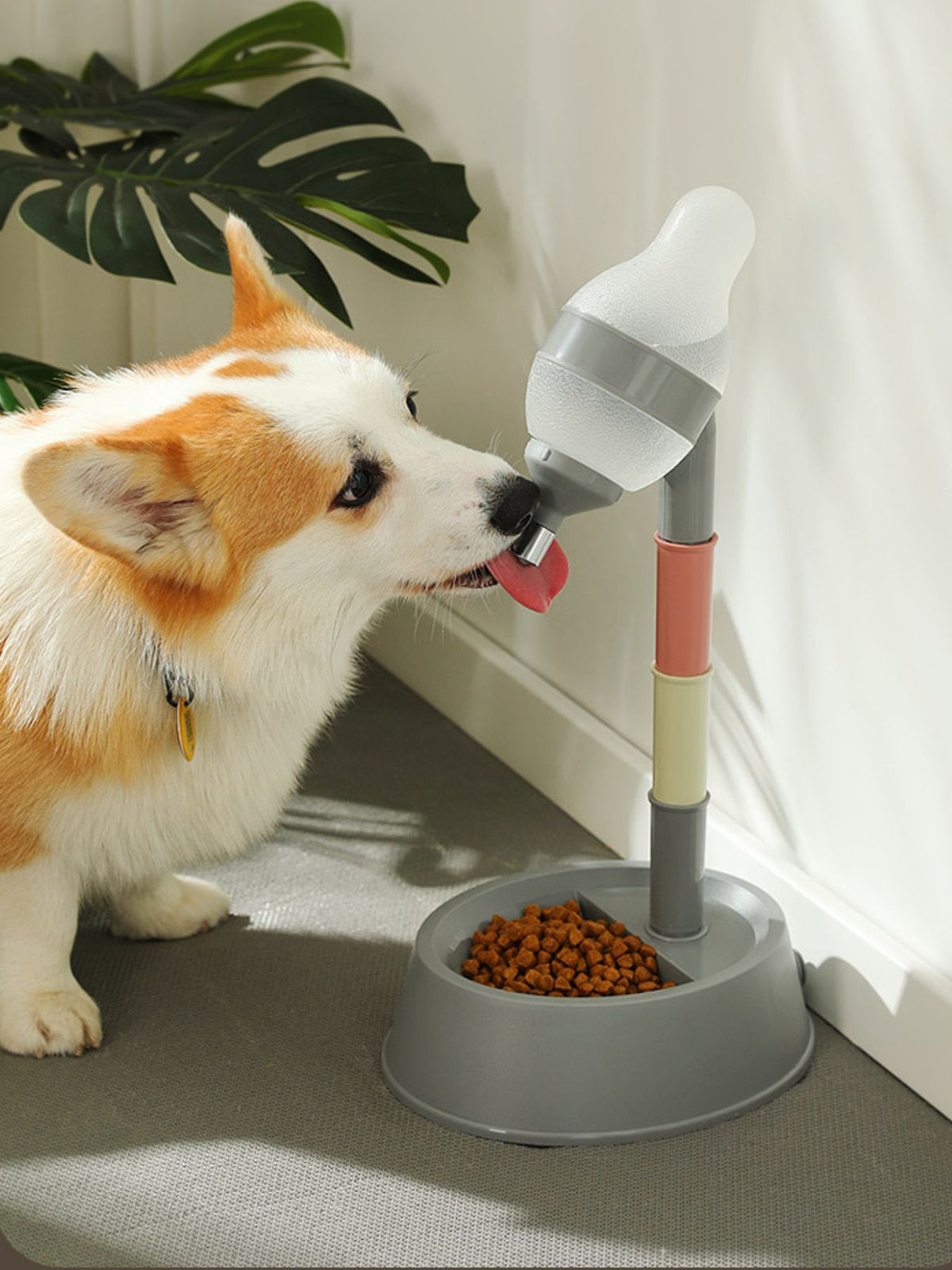 Automatic Water Dispenser Pet Bowl - Lilixa.store