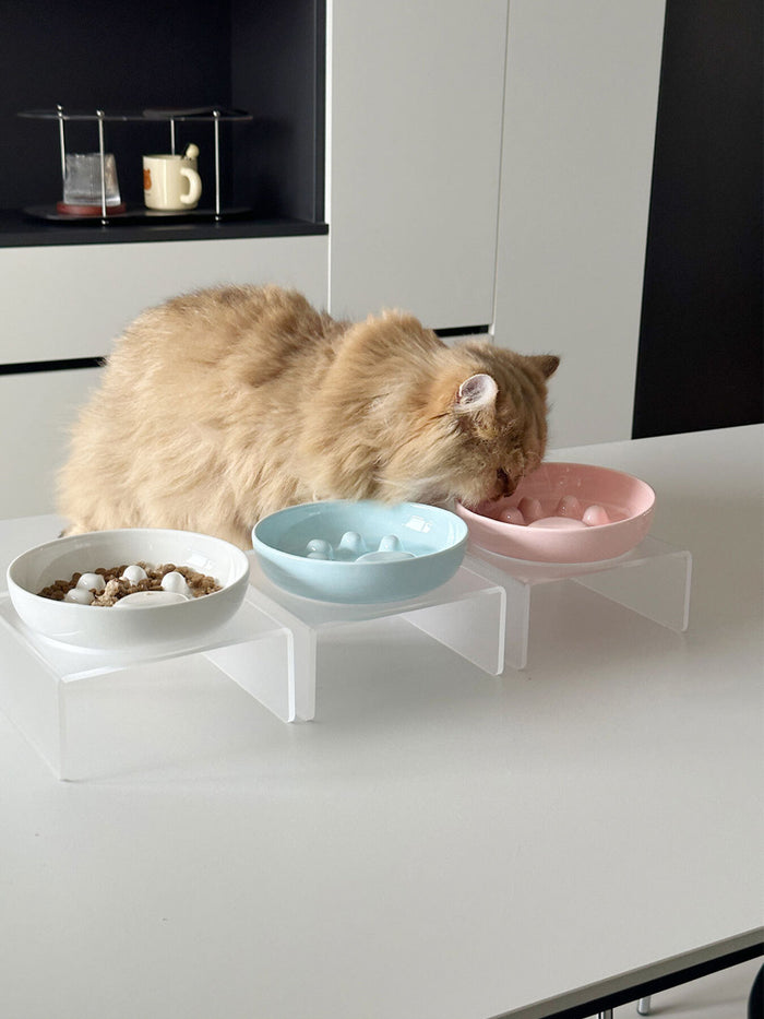 Elevated Slow Feeder Pet Bowls