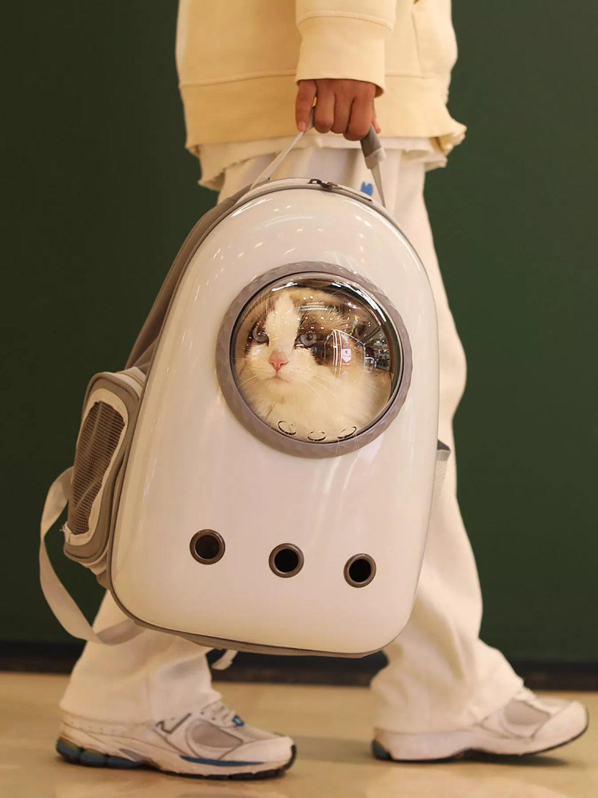 Space Capsule Transparent Pet Carrier Backpack - Lilixa.store