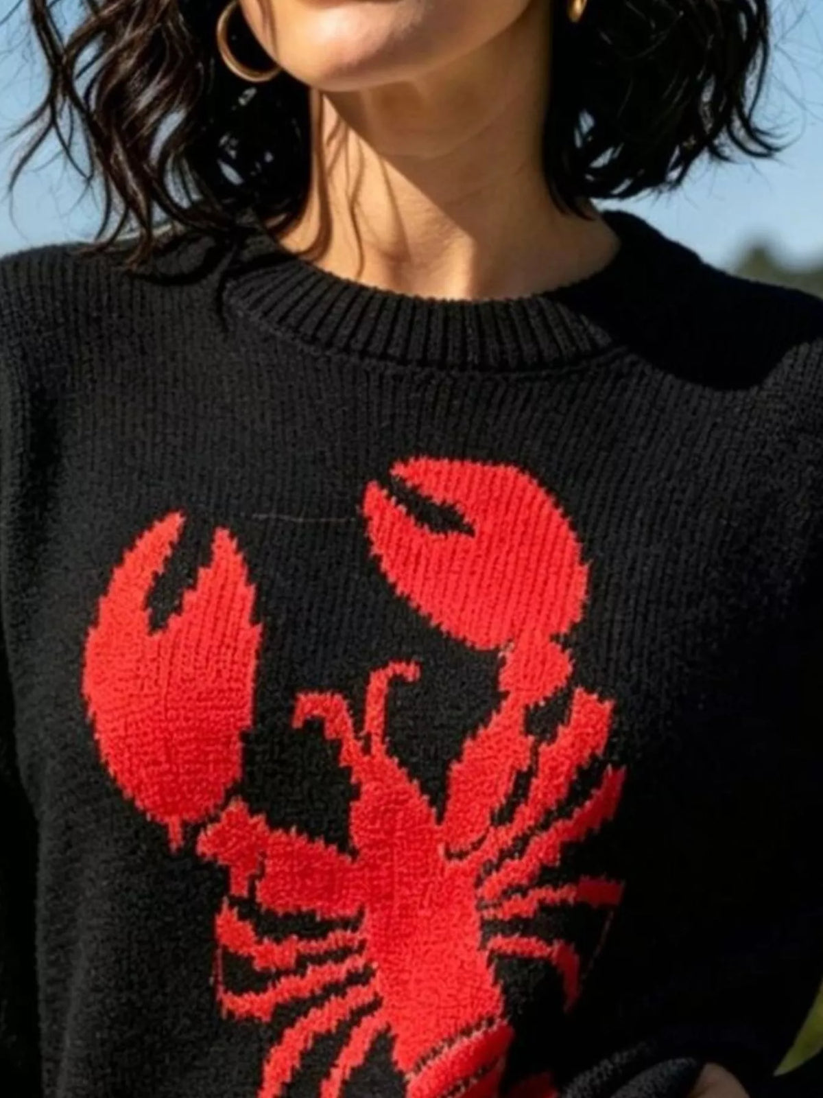 Lobster Graphic Crew Neck Sweater - Lilixa.store