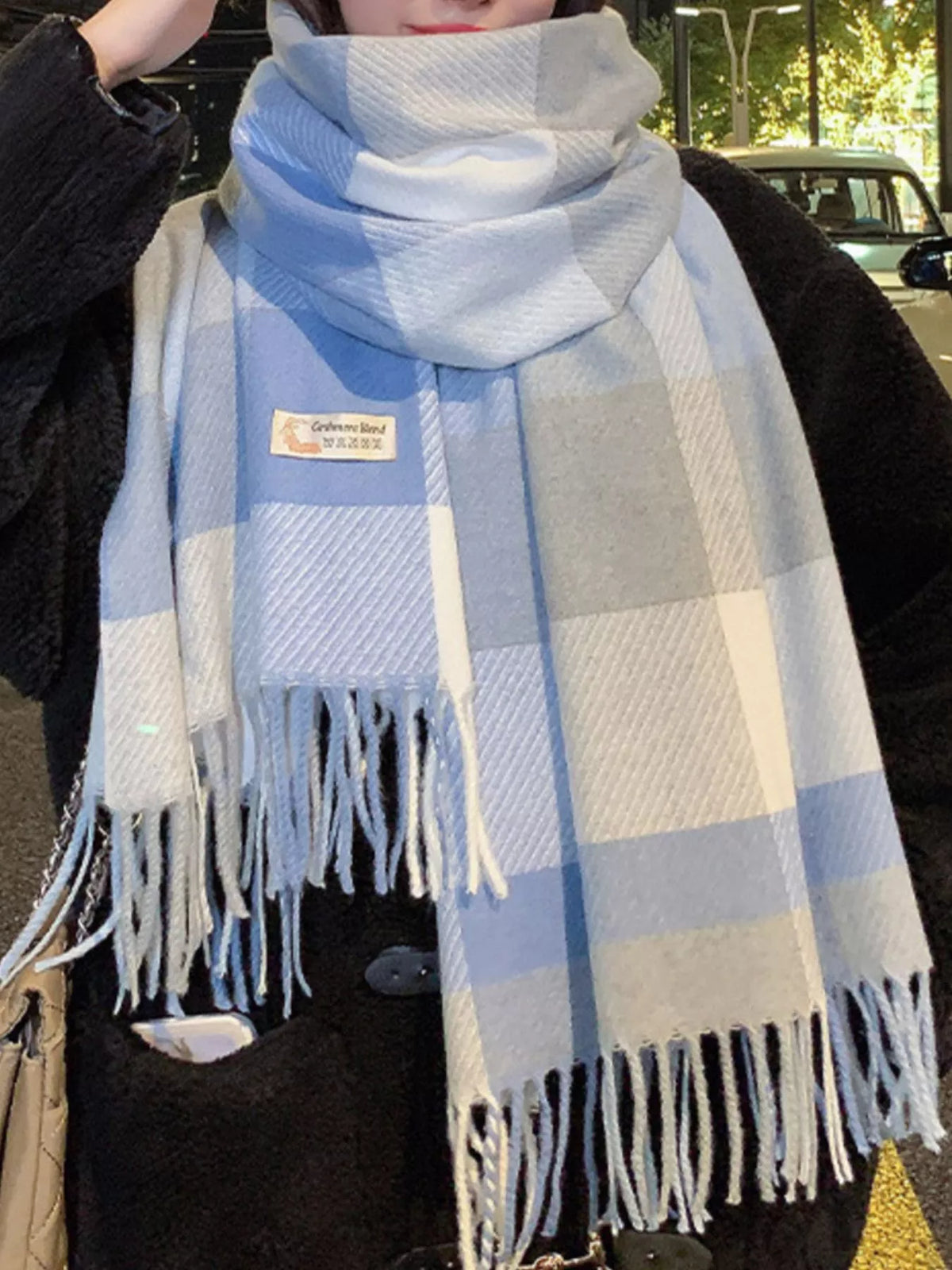 Fringe Plaid Scarf - Lilixa.store