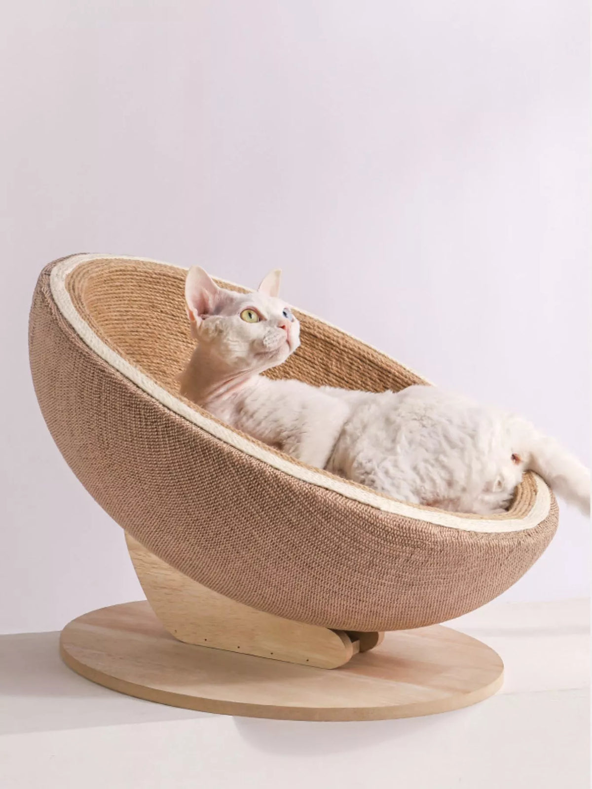 Cat Nest with Hemp Rope Scratcher - Lilixa.store