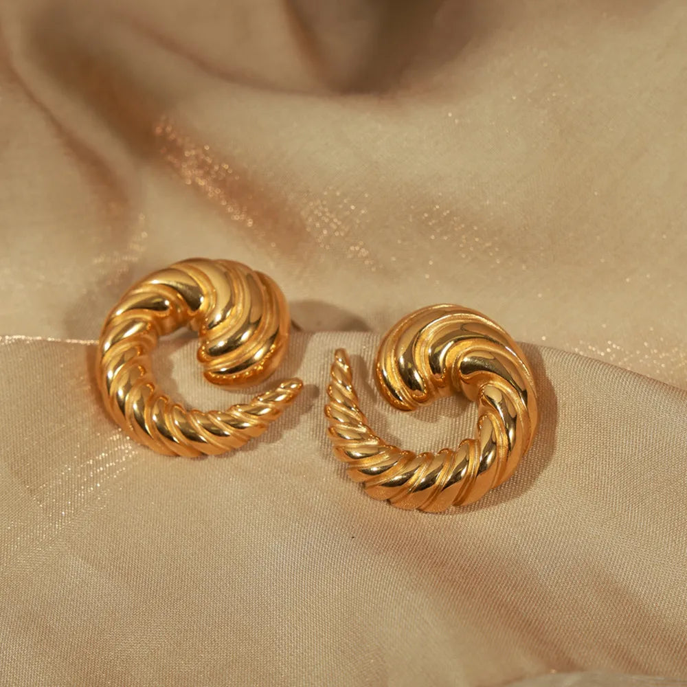 Titanium Steel Spiral Shape Stud Earrings - Lilixa.store