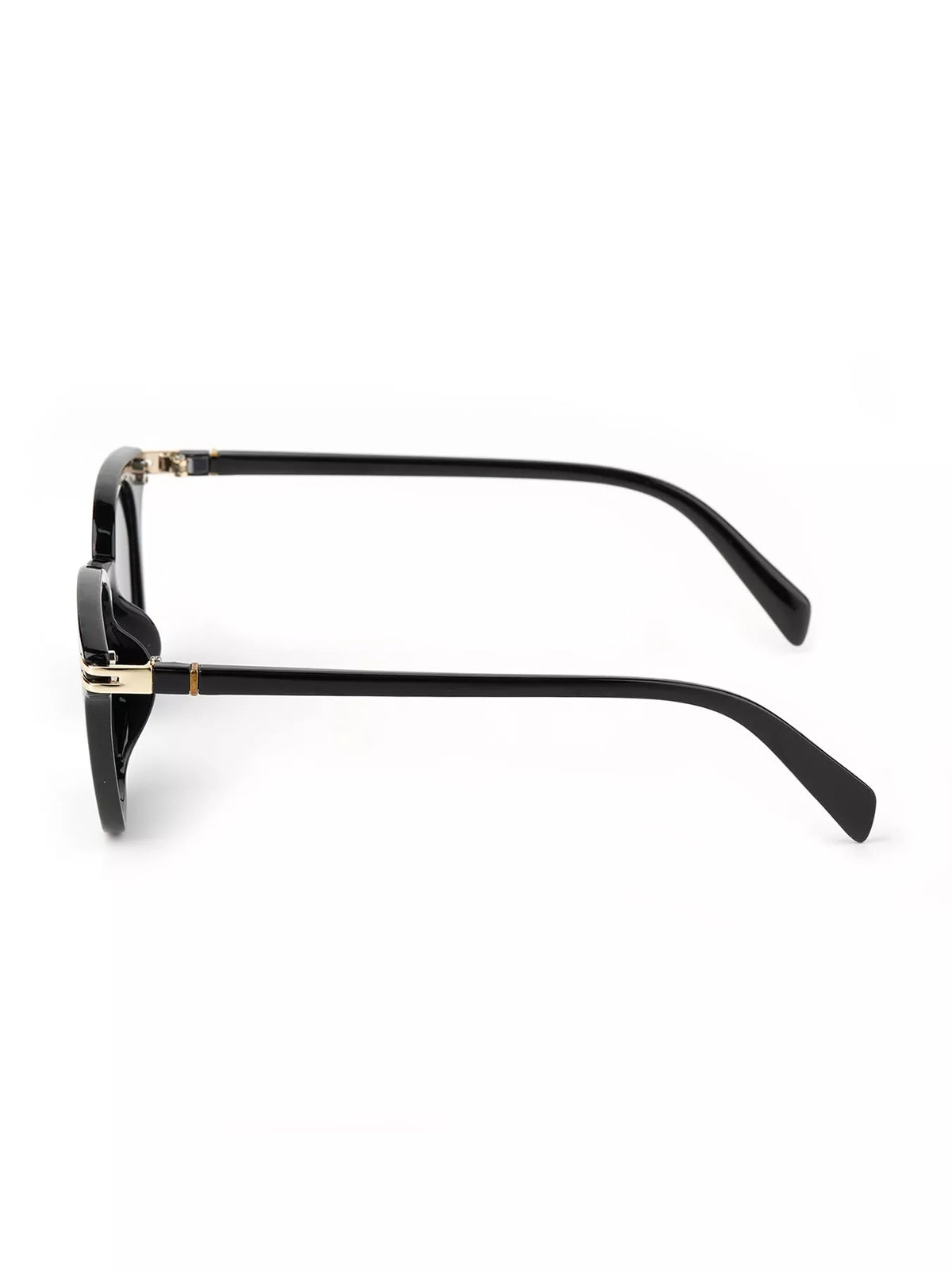 Classic Polycarbonate Sunglasses - Lilixa.store