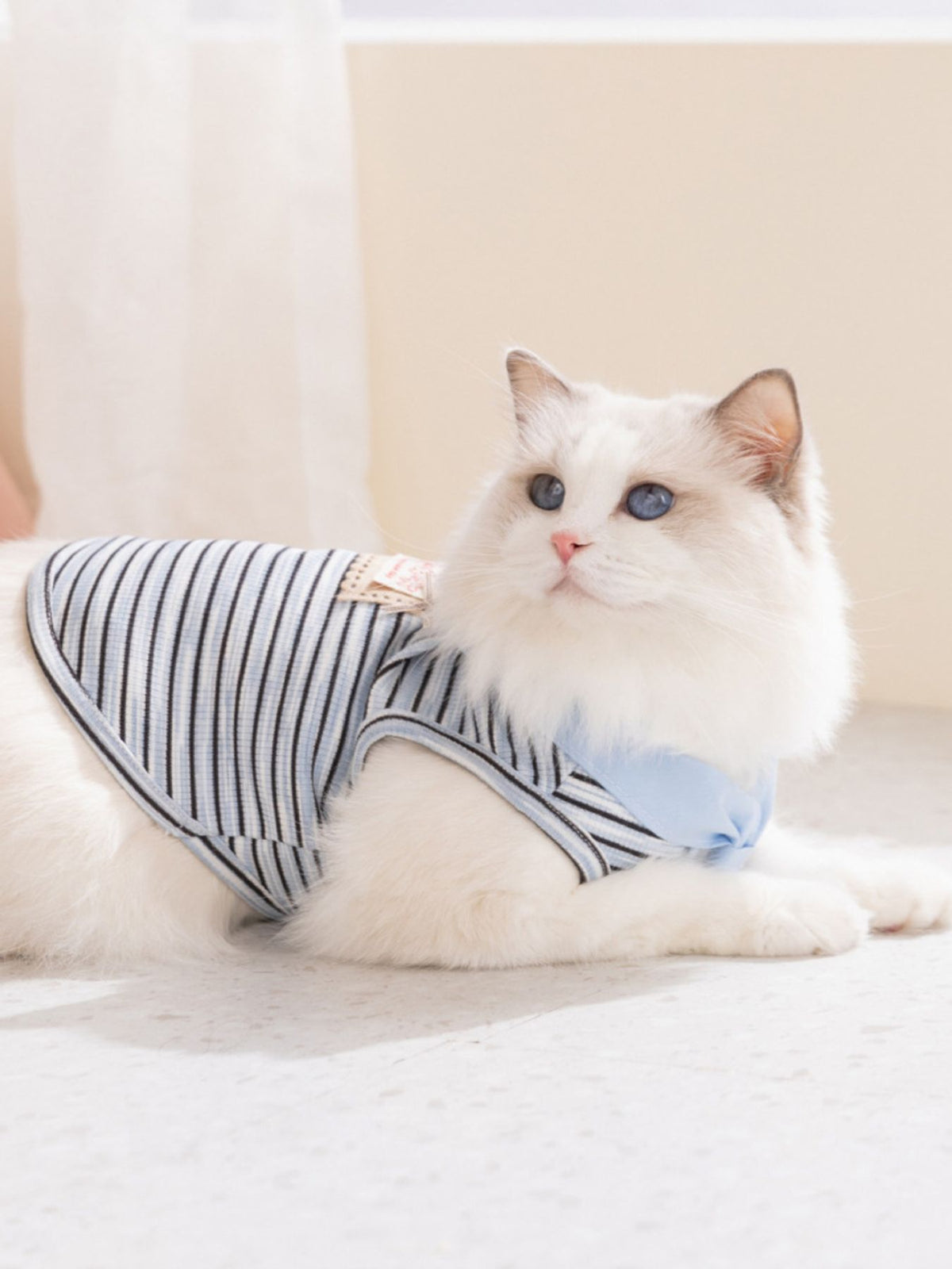 Striped Tied Pet Top - Lilixa.store