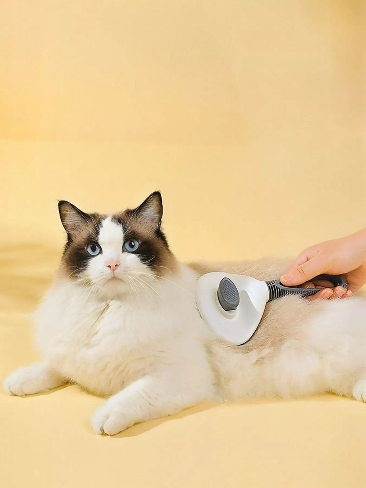 Self-Cleaning Slicker Pet Hair Remover Brush - Lilixa.store