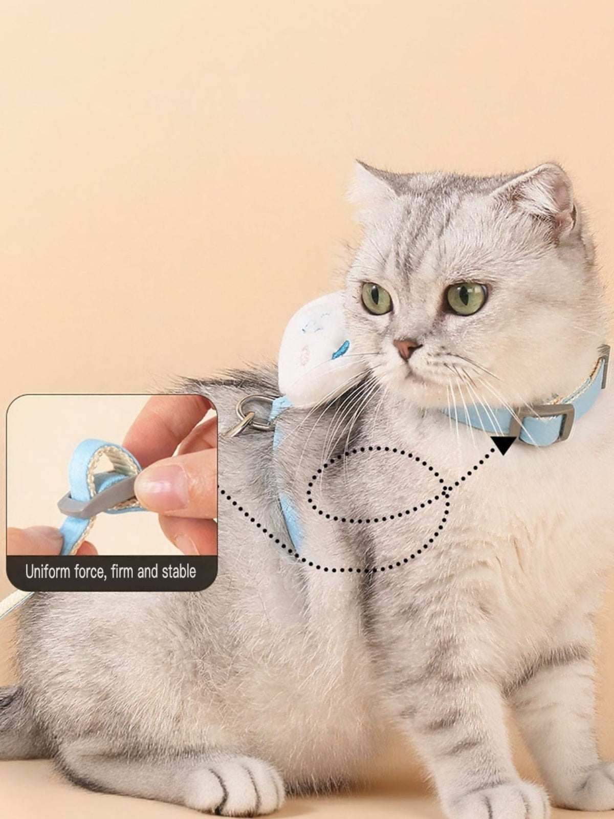 Escape Proof Cat Harness and Leash Set - Lilixa.store