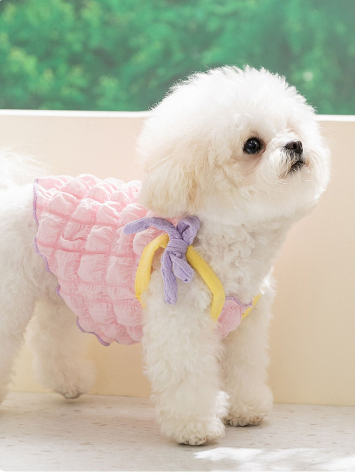 Bubble Textured Tie Shoulder Pet Top
