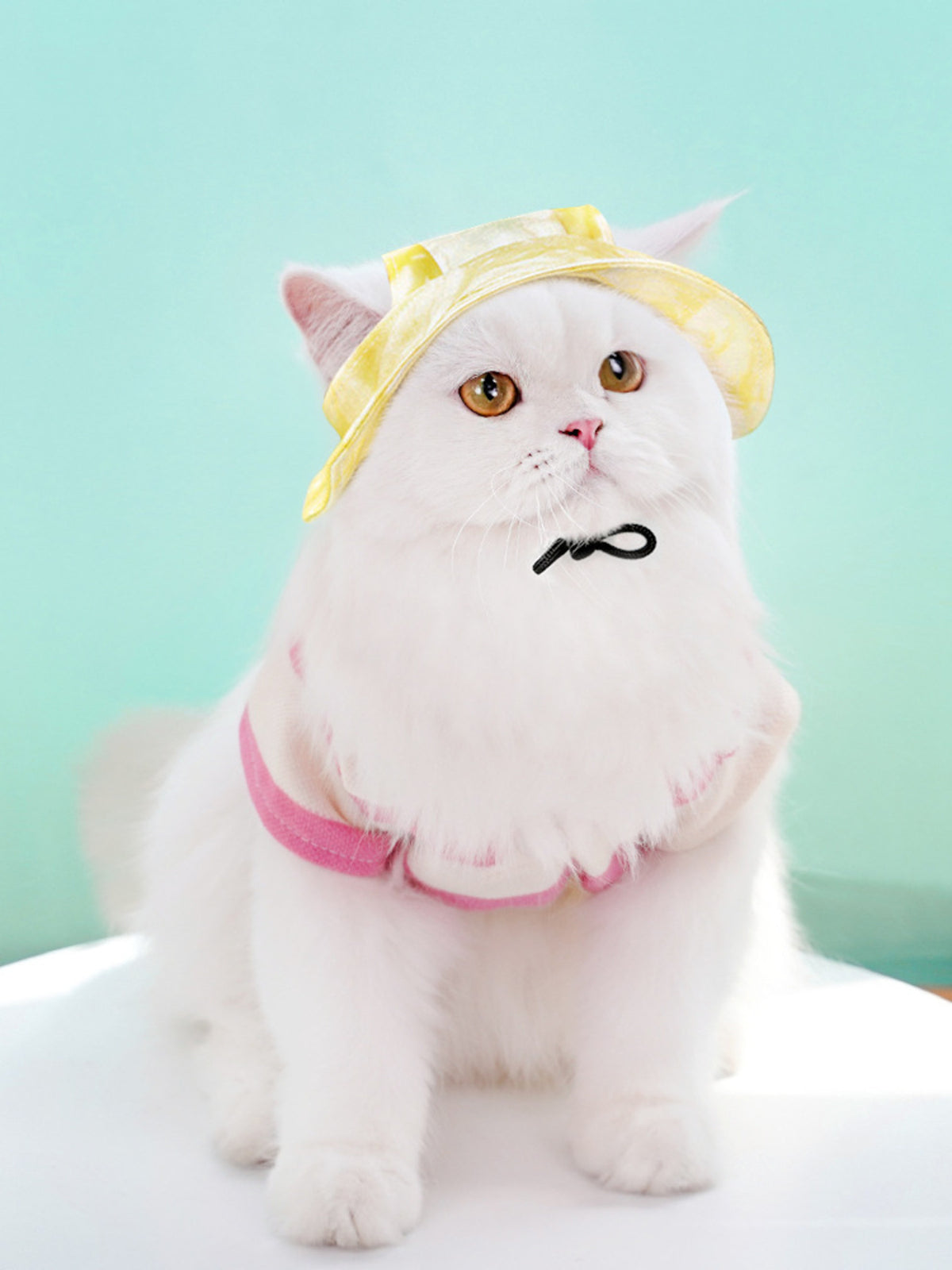 Adjustable Pet Visor Hat